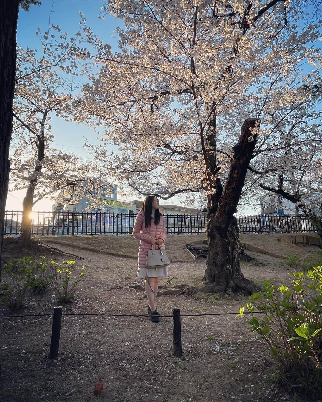 紀平梨花さんのインスタグラム写真 - (紀平梨花Instagram)「桜の季節🌸 #春 #桜」4月4日 20時23分 - rikaskate0721