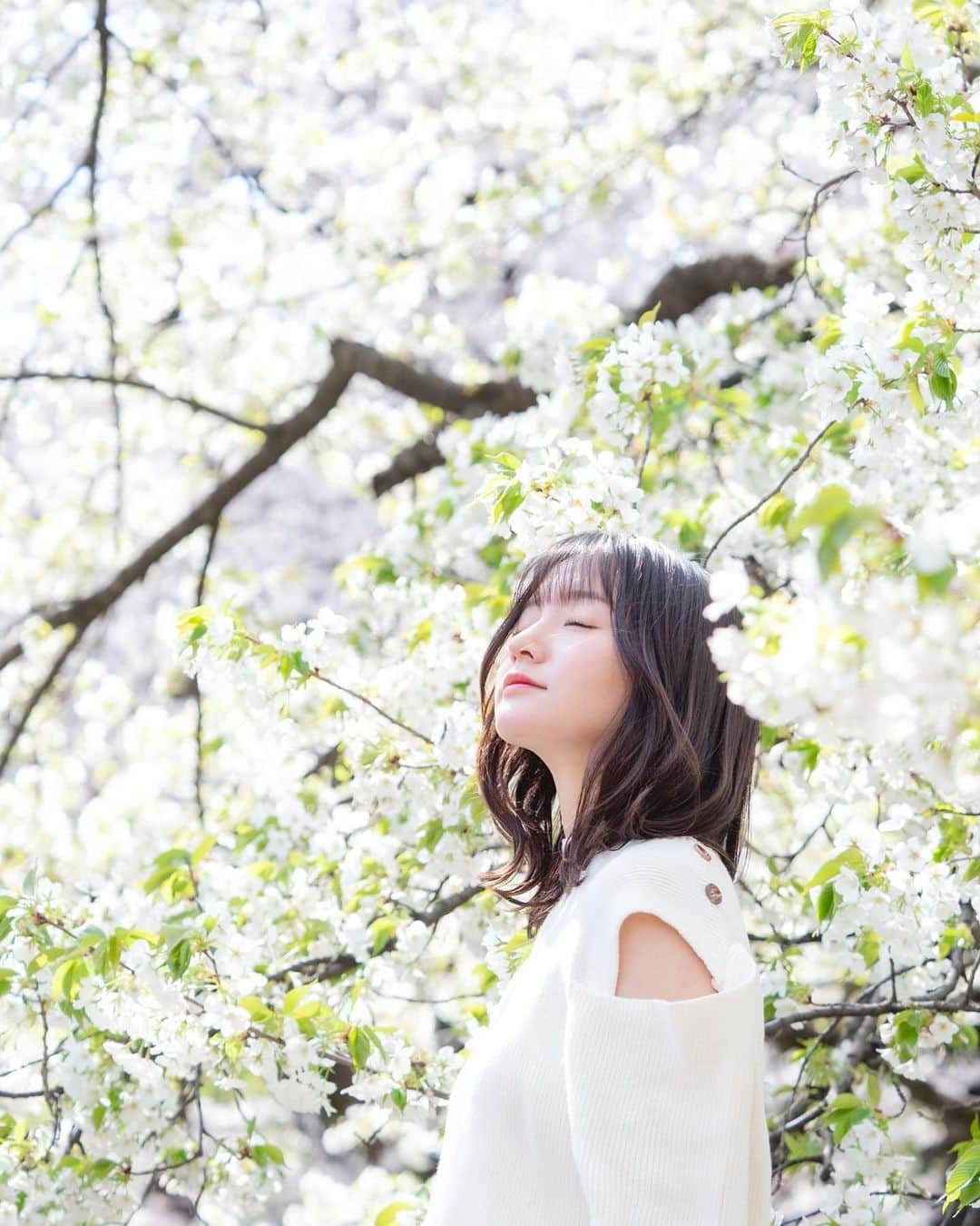 西永彩奈さんのインスタグラム写真 - (西永彩奈Instagram)「桜が散る前に載せておかねば！🌸  📷　@massa_photo  . . #桜#桜ポートレート#お花見#sakura」4月4日 20時47分 - nishinagaayana