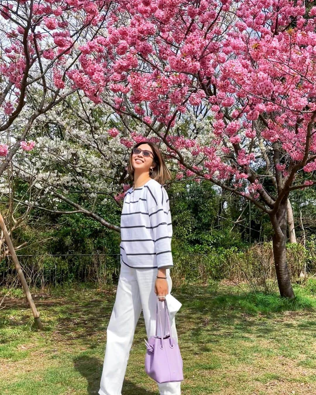 吉田夏海さんのインスタグラム写真 - (吉田夏海Instagram)「桜綺麗だね🌸🌸🌸  今年はいつもより桜をたくさんみてる気がする☺️💫  #japan #sakura #桜」4月5日 16時33分 - natsumiiiiiiiiiii