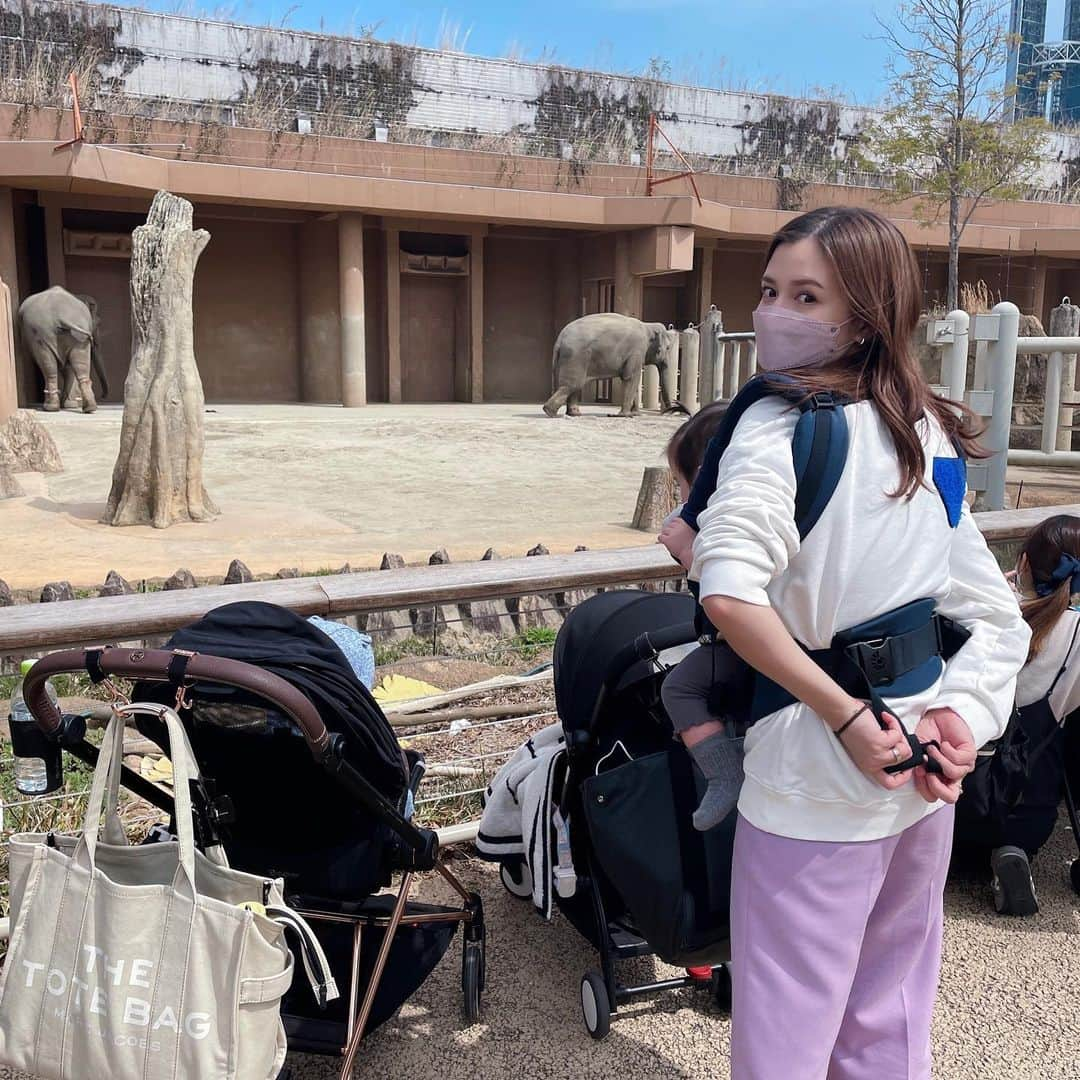 丸高愛実さんのインスタグラム写真 - (丸高愛実Instagram)「東山動物園に行きすぎな私達。🦒🐨🐿🐰🦁🐘❤️  だんだん写真も撮らなくなってきた😂🙏  ミニ遊園地🎡もあって長女👧は乗れるもの沢山あるからとっても楽しめる🥰  きっとまたすぐ行くでしょう🤪💓 #東山動物園」4月5日 16時35分 - marutakamanami