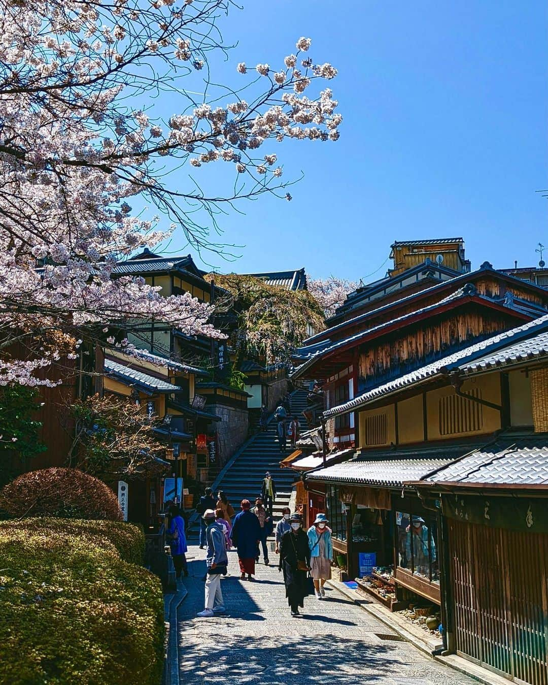 大口智恵美さんのインスタグラム写真 - (大口智恵美Instagram)「🤍🇯🇵🌸 #kimono #kyoto #instagood」4月5日 16時45分 - chemiiiii