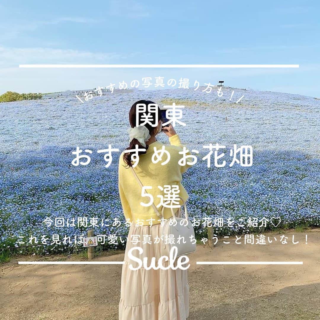 SUCLEさんのインスタグラム写真 - (SUCLEInstagram)「#関東おすすめお花畑　5選  今回は関東にあるおすすめのお花畑をご紹介します💐  最後には写真の撮り方もついているので、ぜひチェックしてください🤍  01.#国営昭和記念公園 @you_a1226 @miu__lovely @iamaya__g   02.#横浜イングリッシュガーデン  @kiiiichan1104   03.#国営ひたち海浜公園  @__153rk @xxayapink   04.#羊山公園 @smile_girl.a7 @pocha_gyutan   05.#くりはま花の国  @rinka_0333 @nami__211 @ym__rie07   \おすすめの写真の撮り方🎞/ @zen_yuri_ @02_re__ @kiiiichan1104 @xxayapink   ※時期により開園時間や、料金等が異なる場合がございますので、ご確認の程お願いいたします。  🧸❣️🧸❣️🧸 SucleではTikTokやYouTubeも更新中！ インスタには載せていない動画もオリジナルで制作しています🥣ᐝ プロフィールのリンクからぜひチェックしてみてくださいね👀💞  #お出かけスポット #お花畑 #お花畑コーデ #関東お花畑 #写真の撮り方#フォトスポット #お出かけスポット」4月5日 21時00分 - sucle_