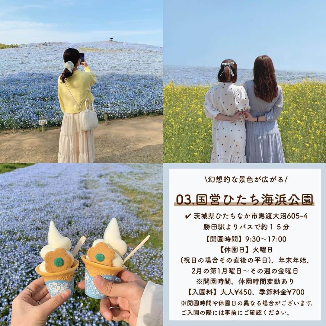 SUCLEさんのインスタグラム写真 - (SUCLEInstagram)「#関東おすすめお花畑　5選  今回は関東にあるおすすめのお花畑をご紹介します💐  最後には写真の撮り方もついているので、ぜひチェックしてください🤍  01.#国営昭和記念公園 @you_a1226 @miu__lovely @iamaya__g   02.#横浜イングリッシュガーデン  @kiiiichan1104   03.#国営ひたち海浜公園  @__153rk @xxayapink   04.#羊山公園 @smile_girl.a7 @pocha_gyutan   05.#くりはま花の国  @rinka_0333 @nami__211 @ym__rie07   \おすすめの写真の撮り方🎞/ @zen_yuri_ @02_re__ @kiiiichan1104 @xxayapink   ※時期により開園時間や、料金等が異なる場合がございますので、ご確認の程お願いいたします。  🧸❣️🧸❣️🧸 SucleではTikTokやYouTubeも更新中！ インスタには載せていない動画もオリジナルで制作しています🥣ᐝ プロフィールのリンクからぜひチェックしてみてくださいね👀💞  #お出かけスポット #お花畑 #お花畑コーデ #関東お花畑 #写真の撮り方#フォトスポット #お出かけスポット」4月5日 21時00分 - sucle_
