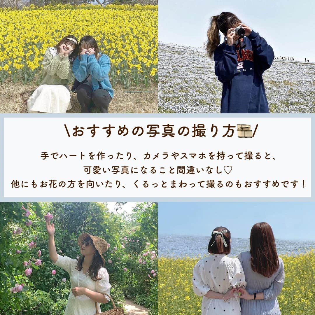 SUCLEさんのインスタグラム写真 - (SUCLEInstagram)「#関東おすすめお花畑　5選  今回は関東にあるおすすめのお花畑をご紹介します💐  最後には写真の撮り方もついているので、ぜひチェックしてください🤍  01.#国営昭和記念公園 @you_a1226 @miu__lovely @iamaya__g   02.#横浜イングリッシュガーデン  @kiiiichan1104   03.#国営ひたち海浜公園  @__153rk @xxayapink   04.#羊山公園 @smile_girl.a7 @pocha_gyutan   05.#くりはま花の国  @rinka_0333 @nami__211 @ym__rie07   \おすすめの写真の撮り方🎞/ @zen_yuri_ @02_re__ @kiiiichan1104 @xxayapink   ※時期により開園時間や、料金等が異なる場合がございますので、ご確認の程お願いいたします。  🧸❣️🧸❣️🧸 SucleではTikTokやYouTubeも更新中！ インスタには載せていない動画もオリジナルで制作しています🥣ᐝ プロフィールのリンクからぜひチェックしてみてくださいね👀💞  #お出かけスポット #お花畑 #お花畑コーデ #関東お花畑 #写真の撮り方#フォトスポット #お出かけスポット」4月5日 21時00分 - sucle_