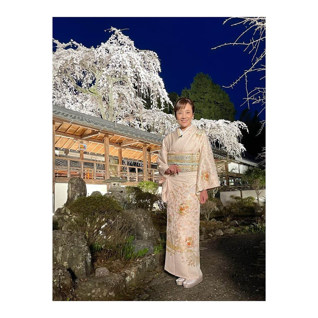 西田ひかるさんのインスタグラム写真 - (西田ひかるInstagram)「.  「京都夜桜生中継」  今年の桜はなんだか長く楽しめている気がします〜気のせいかしら？  KBS京都とBS11共同制作番組は、京都十輪寺より生放送でした。  川井郁子さんのバイオリン演奏も生で聞くことができ、美しい音色と夜桜のコラボレーションは圧巻でした！  ヘアセットとお着付けもして頂き、気持ちはシャキ！やっぱり着物は大好きです。 髪飾りは30年以上前に、京都を仕事で訪れた時に購入した思い出のもの。  #京都夜桜生中継2022  #kbs京都 #bs11  #川井郁子 さん #ヴァイオリニスト  #京都十輪寺  #夜桜 #ライトアップ  #お着物 #髪飾り #思い出  #お花見 #春になりました」4月6日 0時17分 - hikaru_nishida.official