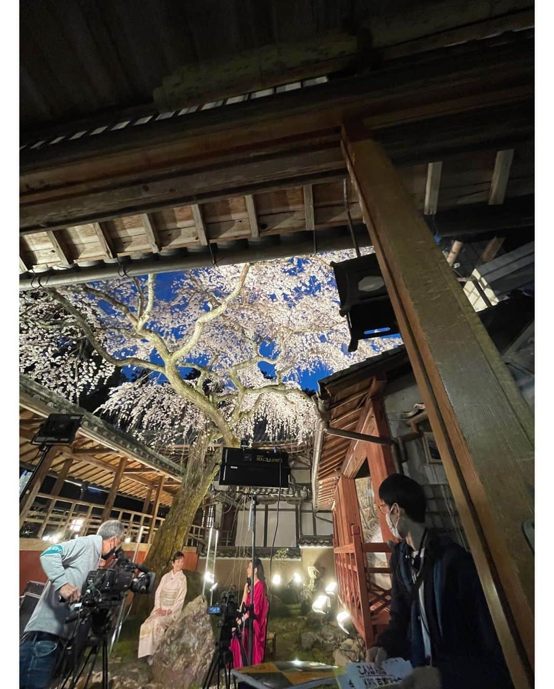 西田ひかるさんのインスタグラム写真 - (西田ひかるInstagram)「.  「京都夜桜生中継」  今年の桜はなんだか長く楽しめている気がします〜気のせいかしら？  KBS京都とBS11共同制作番組は、京都十輪寺より生放送でした。  川井郁子さんのバイオリン演奏も生で聞くことができ、美しい音色と夜桜のコラボレーションは圧巻でした！  ヘアセットとお着付けもして頂き、気持ちはシャキ！やっぱり着物は大好きです。 髪飾りは30年以上前に、京都を仕事で訪れた時に購入した思い出のもの。  #京都夜桜生中継2022  #kbs京都 #bs11  #川井郁子 さん #ヴァイオリニスト  #京都十輪寺  #夜桜 #ライトアップ  #お着物 #髪飾り #思い出  #お花見 #春になりました」4月6日 0時17分 - hikaru_nishida.official