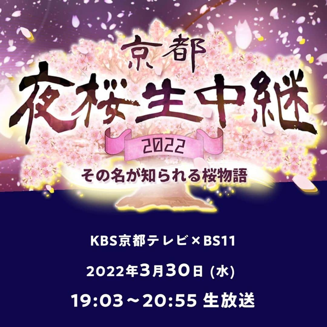 西田ひかるさんのインスタグラム写真 - (西田ひかるInstagram)「.  「京都夜桜生中継」  今年の桜はなんだか長く楽しめている気がします〜気のせいかしら？  KBS京都とBS11共同制作番組は、京都十輪寺より生放送でした。  川井郁子さんのバイオリン演奏も生で聞くことができ、美しい音色と夜桜のコラボレーションは圧巻でした！  ヘアセットとお着付けもして頂き、気持ちはシャキ！やっぱり着物は大好きです。 髪飾りは30年以上前に、京都を仕事で訪れた時に購入した思い出のもの。  #京都夜桜生中継2022  #kbs京都 #bs11  #川井郁子 さん #ヴァイオリニスト  #京都十輪寺  #夜桜 #ライトアップ  #お着物 #髪飾り #思い出  #お花見 #春になりました」4月6日 0時17分 - hikaru_nishida.official