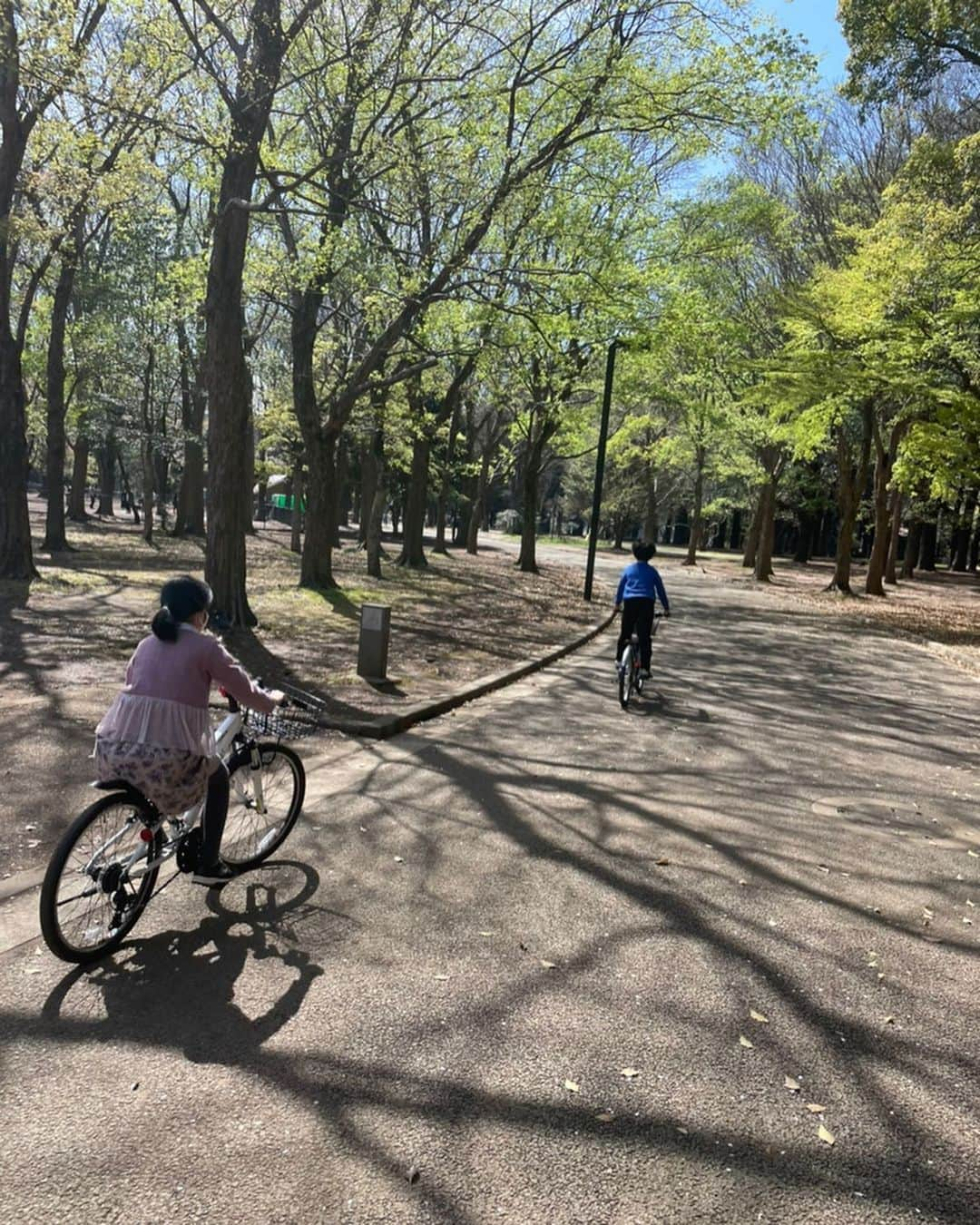 市川海老蔵 （11代目）さんのインスタグラム写真 - (市川海老蔵 （11代目）Instagram)「🌸 still in bloom   Beautiful going under the shedding petals.  * まだ🌸  散ってる中を走ると 綺麗です。  #市川海老蔵 #海老蔵 #成田屋 #歌舞伎 #歌舞伎座 #和 #舞台 #ABKAI #ABMORI #ebizoichikawa #ebizo #kabuki #thunderparty #theater #theaterarts #actor #kabukiactor #japan #classic #traditionaljapan #japaneseculture #japan_og_insta #performingarts」4月6日 14時02分 - ebizoichikawa.ebizoichikawa