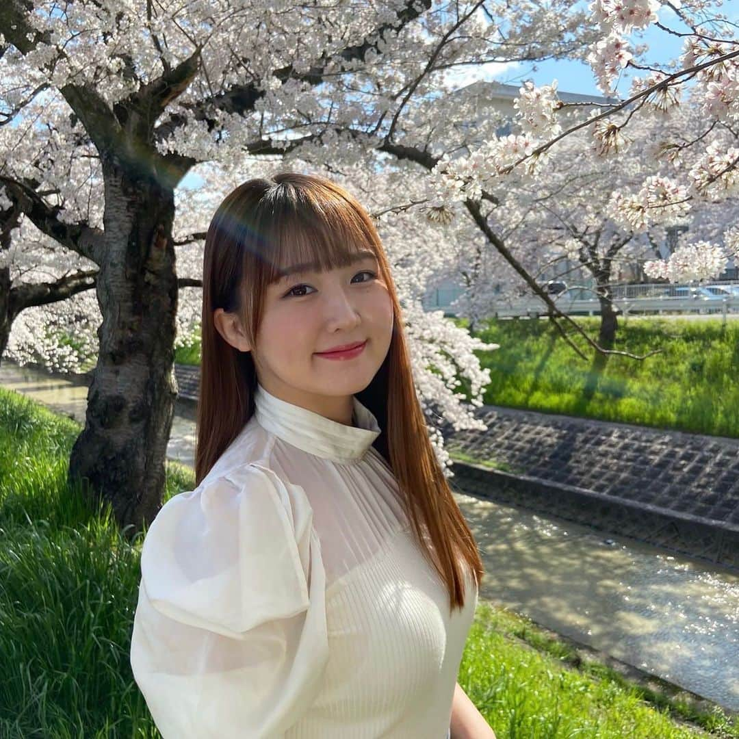 上野貴穂さんのインスタグラム写真 - (上野貴穂Instagram)「. 写真は佐保川の桜並木です🌸 約5キロにわたってずーっと続いています☺️  うまく映らなかったのだけれど、 風で花びらが散っていく様子も すごくきらきらしていて美しかった✨✨  道も花びらの絨毯みたいになってたよ〜🩰  #奈良 #桜」4月6日 22時02分 - kiho_ueno