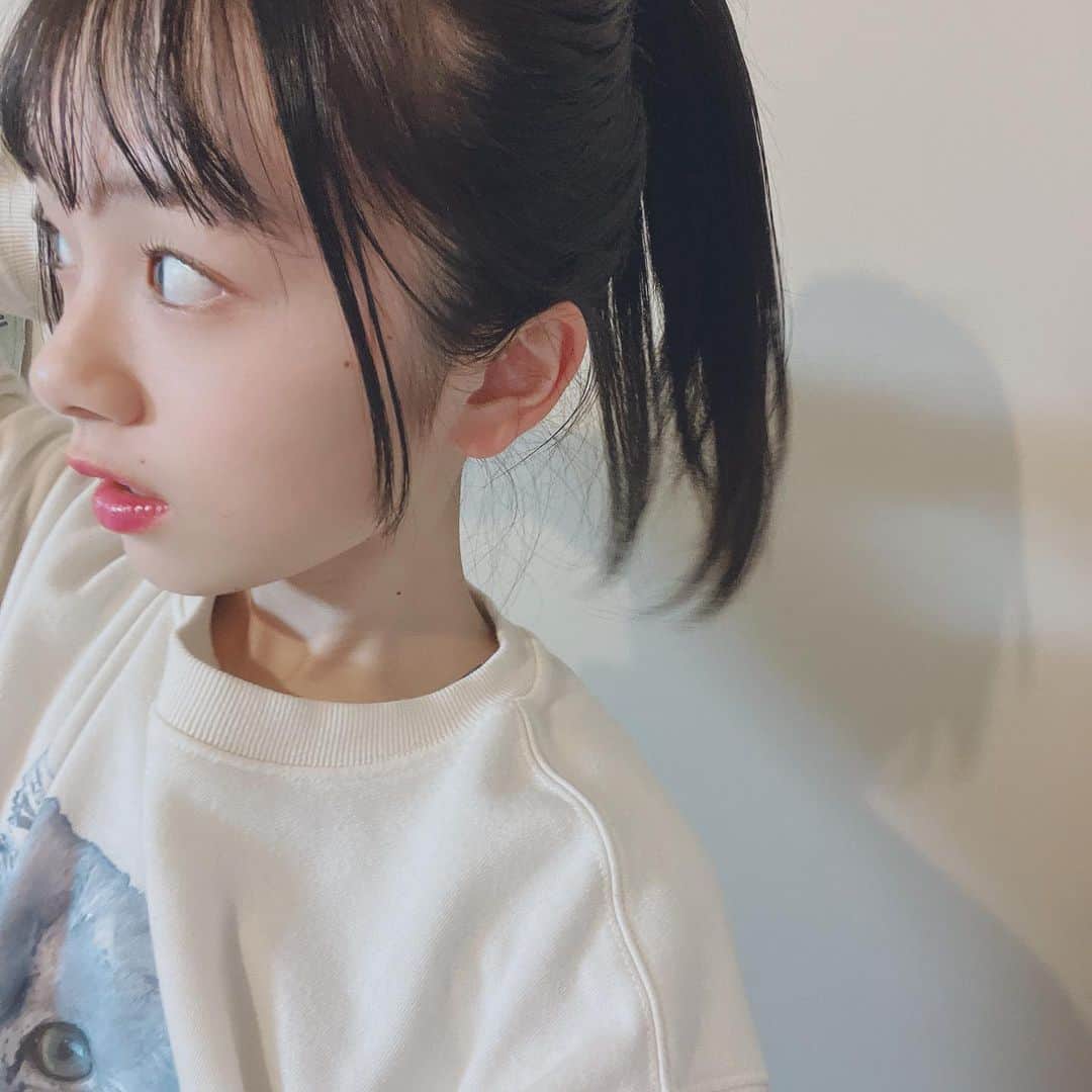 ひまひまチャンネルさんのインスタグラム写真 - (ひまひまチャンネルInstagram)「ポニーテール🐮  ポニーテールを見せたかったけどひとつもいい写真がなかった🐮🤫  そして今日から新学期でした！ まだ3年生になった実感がなくて困ってます🐮！  ちなみに私はA組でした🐮🐮   #ひまひまチャンネル #ひまひま #新学期」4月6日 22時48分 - himahima_channel