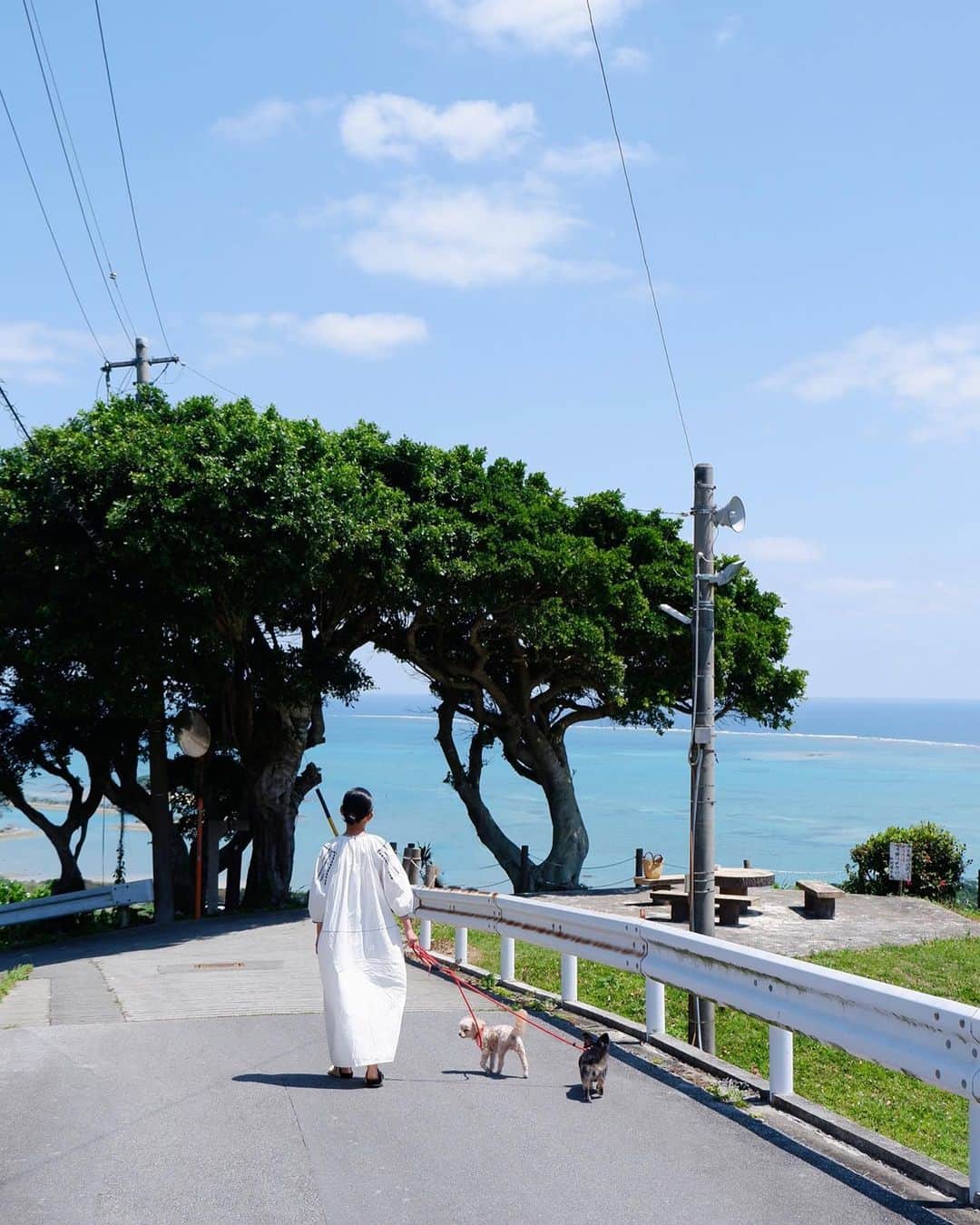 武智志穂さんのインスタグラム写真 - (武智志穂Instagram)「お気に入りのお散歩コース。 ここの公園のベンチで食べるお弁当は最高に美味しいです🍱✨ （ただ、ベンチとテーブルが遠過ぎて、お弁当置けない😂爆笑した）  #沖縄移住  #青い空と青い海 #のびのび子育て」4月6日 23時08分 - shiho_takechi