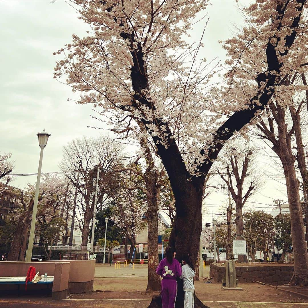 西山茉希さんのインスタグラム写真 - (西山茉希Instagram)「ちびちびさんのお誕生日が来る前に 、感謝を届けるべき人がいる。  #お姉ちゃんになってくれた人 #相棒でいてくれる人 #3年先輩な守護神  へその緒を切ってくれたちびパンさん。 貴女のお陰でちびちびさんの妹人生は幸せです。  #姉歴6年目へ #ありがとう #おめでとう #🌈❤️🌈」4月7日 9時17分 - maki.nshiyama50