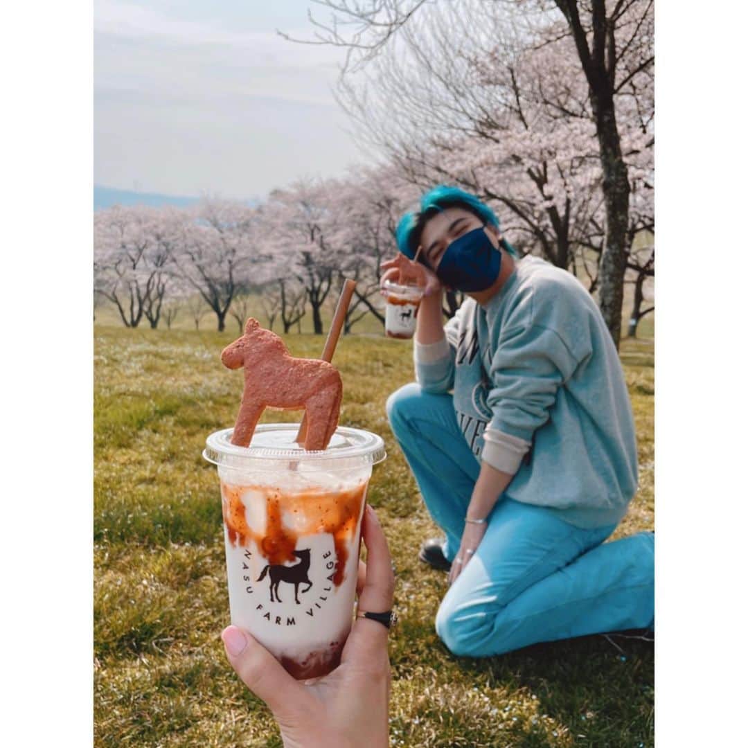 紗栄子さんのインスタグラム写真 - (紗栄子Instagram)「今日は桜がとても綺麗な @nasufarmvillage 🐴🌸🌸🌸  みんなでオープン前のお掃除をして、ひと段落したタイミングでまんちゃんといちごミルクで乾杯🍓🥛✨  落ちてる桜を拾ったりしながらこの季節だけのピンクの世界を堪能しています🥰🌸💖  上を見たらピンクの桜、 足元には小さな青い野花オオイヌノフグリが春の訪れを知らせてくれています🌿💖🌸☀️  ファームにもやっと春がやってきたね🥰💕🌸  今週末は満開になるだろうから、みなさん是非遊びに来てくださいね🐴💖🌸  @nasufarmvillage」4月7日 10時40分 - saekoofficial