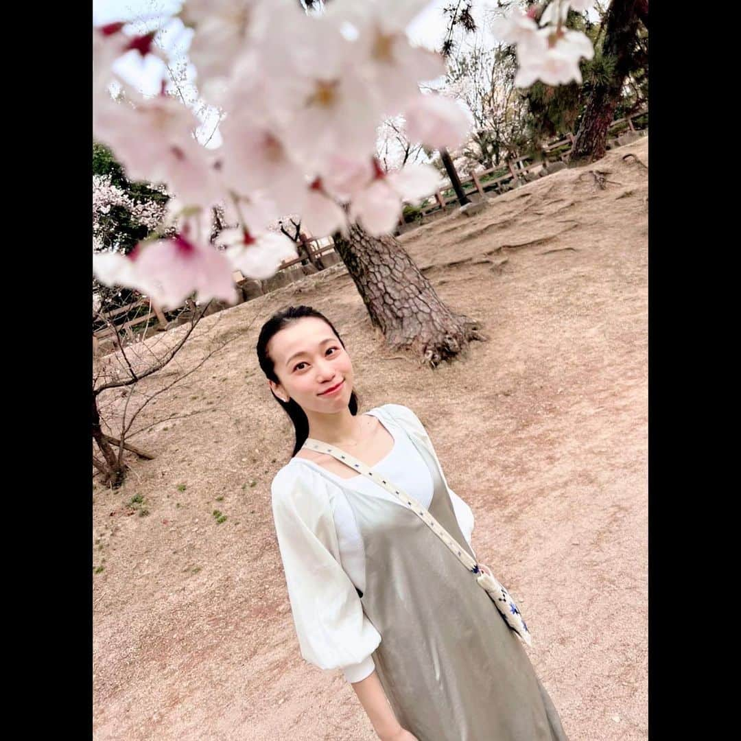 真彩希帆さんのインスタグラム写真 - (真彩希帆Instagram)「みなさま、こんにちは🌸  今日は  「今年は桜を沢山見ることができて幸せだったなぁ☺️❤️」 という思い出をお届けしたいと思います🌸  笑う男の博多座公演中は 咲き始めの桜。  その次は満開の桜。  また違う顔の夜桜。  最後に 散り始めの葉桜。  在団中にはこの移り変わる桜を中々見ることが出来ませんでしたが、退団してもうすぐ一年。  今年は満喫できたぞ！🥰🌸 うれしいっ！やったね！！笑  葉桜デート🌱🌸は 先日退団した 本科生で同室だった、きみちゃん ( #湊璃飛 くん)と☺️🌈  HUNTER×HUNTERをひたすら部屋で読んでいた日々が懐かしい🙄笑 お互い退団しても変わらず、いろんな話に花が咲いて楽しかったな🌸 のんびりお散歩しました🚶🏻‍♀️🚶🏻  来年も 美しい桜と出会えますように🌸  #桜🌸 #大好きなのよね☺️ #季節を感じる の #しあわせ🌱  #真彩希帆」4月7日 14時47分 - maayakiho