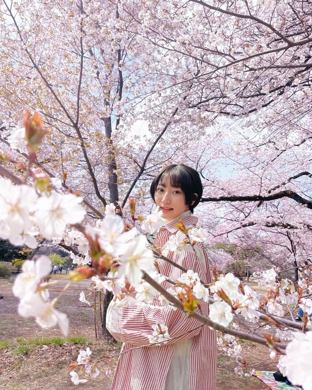 武田玲奈さんのインスタグラム写真 - (武田玲奈Instagram)「永遠に芝生に寝てたい…」4月7日 17時04分 - rena_takeda