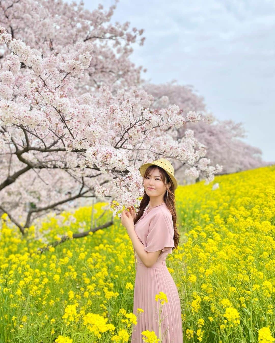 高橋としみさんのインスタグラム写真 - (高橋としみInstagram)「桜と菜の花をもとめて、 今年も#熊谷桜堤 に行ってきました🌸 東京はほとんど散ってるけど、 熊谷はギリギリセーフてした😊✨  やっぱり写真すき❤️  お気に入りの水筒と一緒に🌸 確かANAの機内でしか買えなかったのを ファンの方がプレゼントしてくれた😊 何年前かな？？笑  今年も @akinconomihome ちゃんと✨ #熊谷#桜並木 #さくら#sakura #sakura🌸 #🌸#Japan」4月7日 20時25分 - toshimi_1002