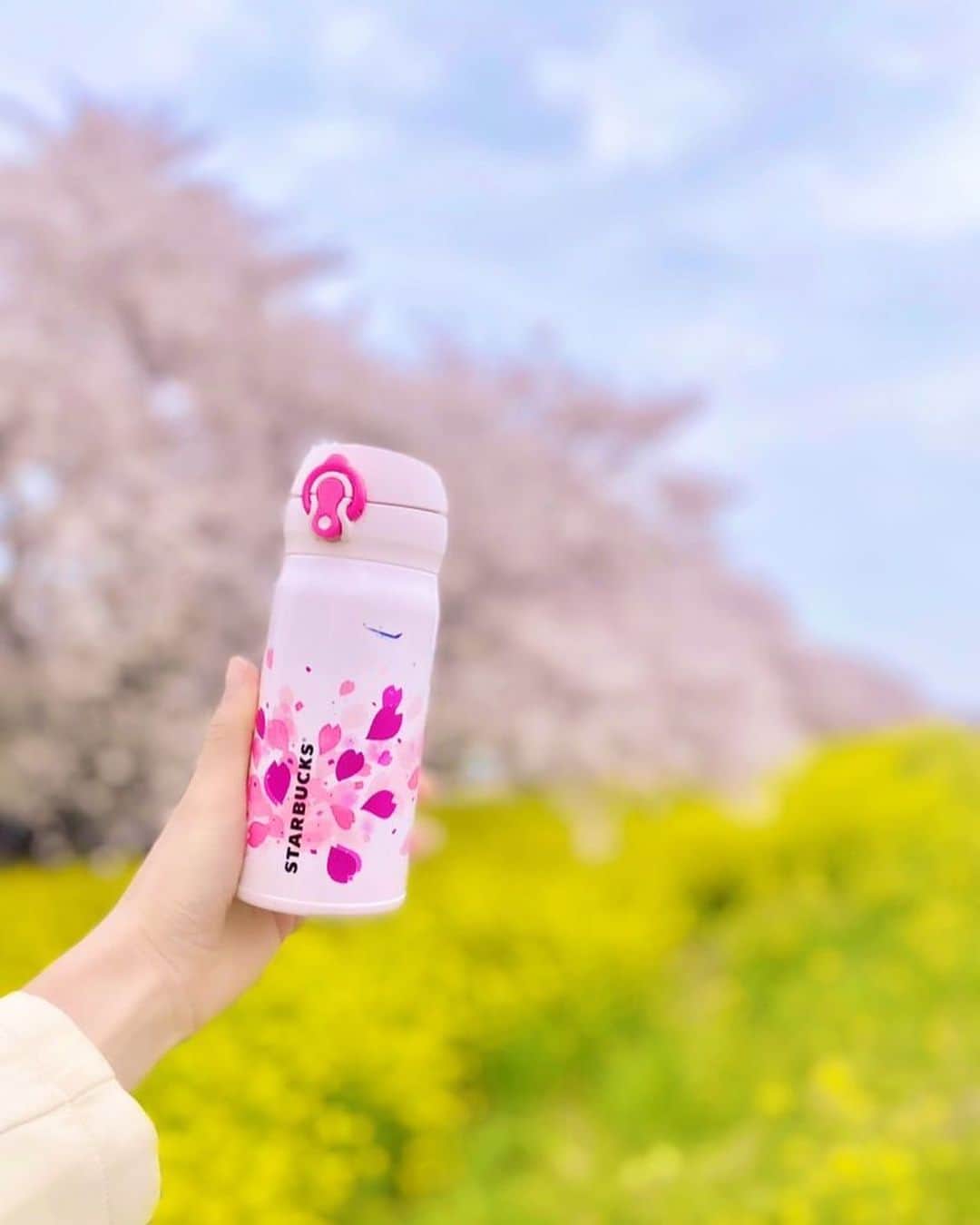 高橋としみさんのインスタグラム写真 - (高橋としみInstagram)「桜と菜の花をもとめて、 今年も#熊谷桜堤 に行ってきました🌸 東京はほとんど散ってるけど、 熊谷はギリギリセーフてした😊✨  やっぱり写真すき❤️  お気に入りの水筒と一緒に🌸 確かANAの機内でしか買えなかったのを ファンの方がプレゼントしてくれた😊 何年前かな？？笑  今年も @akinconomihome ちゃんと✨ #熊谷#桜並木 #さくら#sakura #sakura🌸 #🌸#Japan」4月7日 20時25分 - toshimi_1002
