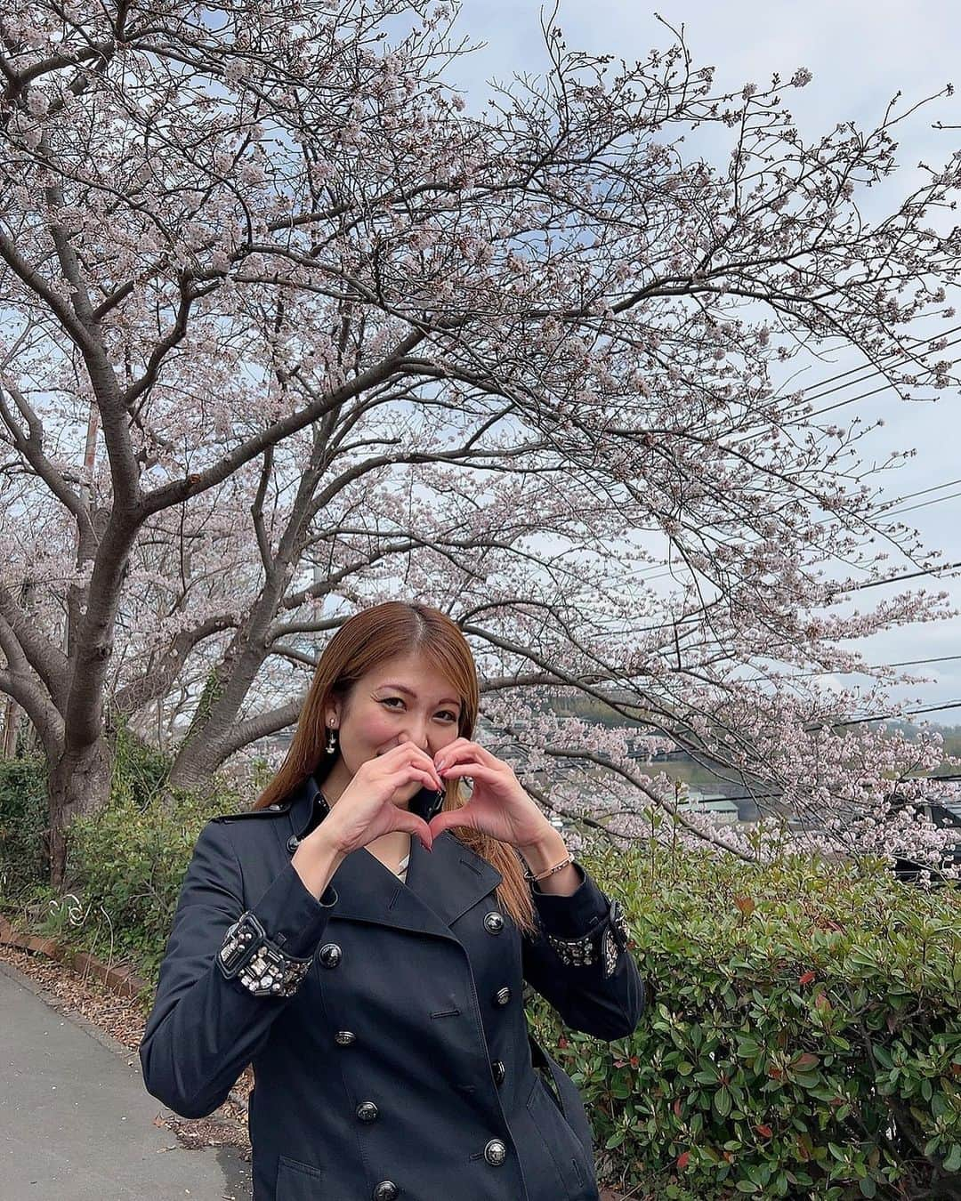 神谷麻美さんのインスタグラム写真 - (神谷麻美Instagram)「#桜 🌸💗🥰🥰💗🌸✨」4月7日 21時48分 - asamice428