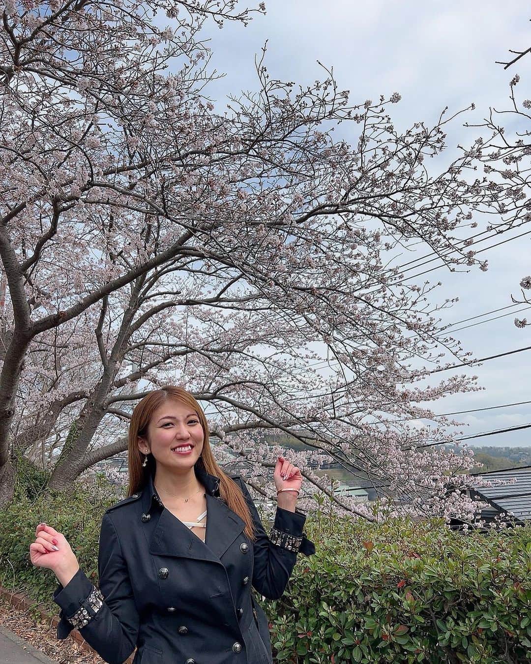 神谷麻美さんのインスタグラム写真 - (神谷麻美Instagram)「#桜 🌸💗🥰🥰💗🌸✨」4月7日 21時48分 - asamice428