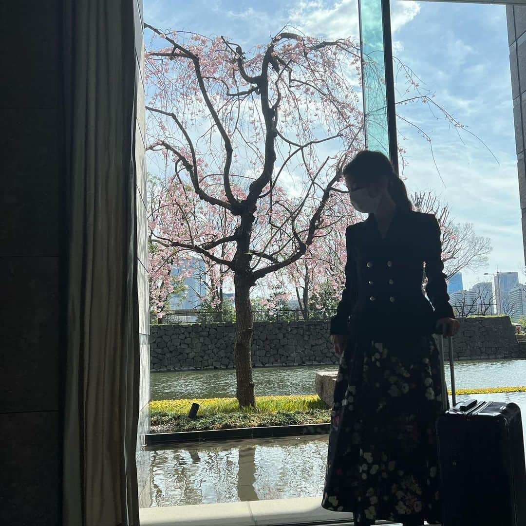 君島十和子さんのインスタグラム写真 - (君島十和子Instagram)「撮影で伺った パレスホテル東京でも 素敵な桜を拝見出来ました。 「新しい季節」 新しい生活がスタートしてる方もたくさんいらっしゃるのかな？  春になると 太陽も近くなるし🌞 気温が上がるし⤴️ 草木、自然も成長するから、地上にエネルギーが満ち満ちて来る…  だから普通に生活してても疲れちゃうのもしれない。  私は、そんな時 両耳を手の平で 温めてから 耳たぶを揉みほぐしてます。 自分の血液が流れてる音が聞こえて、なんか落ち着くし、血行が良くなるだけで顔が明るく見えるの🤩  だけど😅 ⚠️会社の中で両耳を手で押さえてると🙉 「うるさーい💢」 っていうゼスチャーにも見えちゃうから そこはご注意を😂😆👍🏻  #FTCBEAUTY #ftcbeauty #skincareproducts  #表参道美容 #青山 #君島十和子」4月7日 22時00分 - ftcbeauty.official