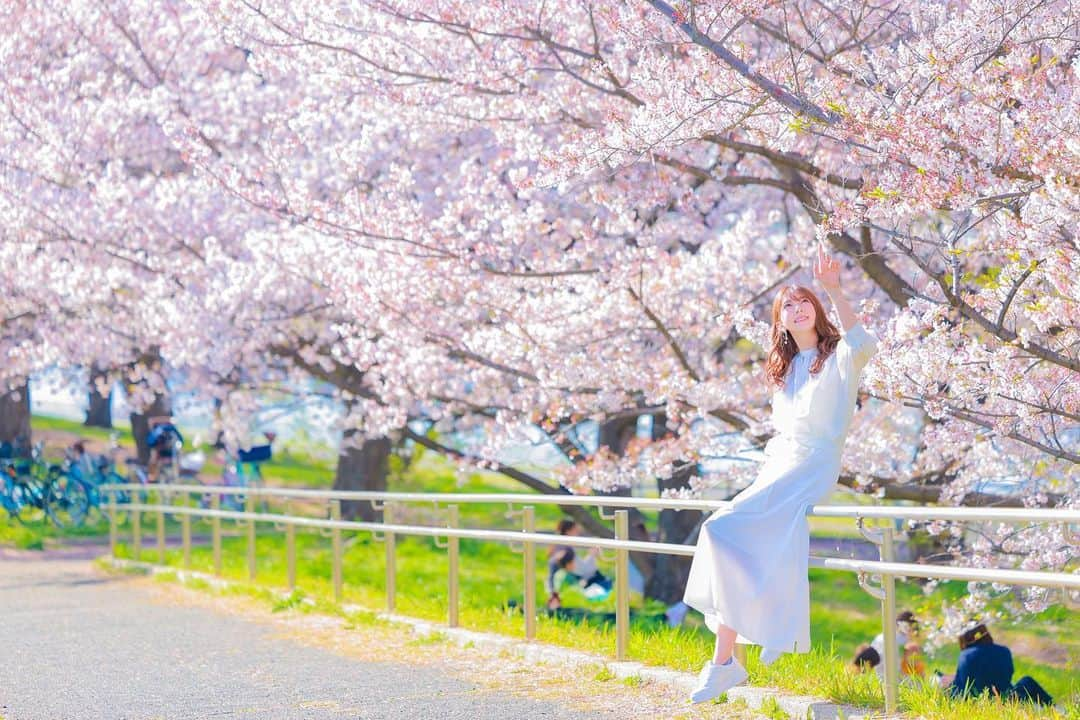 波多野結衣さんのインスタグラム写真 - (波多野結衣Instagram)「SAKURA🌸  PHOTO(@hideto_photo ) . . #桜 #sakura  #春 #spring  #写真 #photography  #ポートレート #portrait  #波多野結衣 #波多野结衣」4月8日 12時20分 - hatachan524