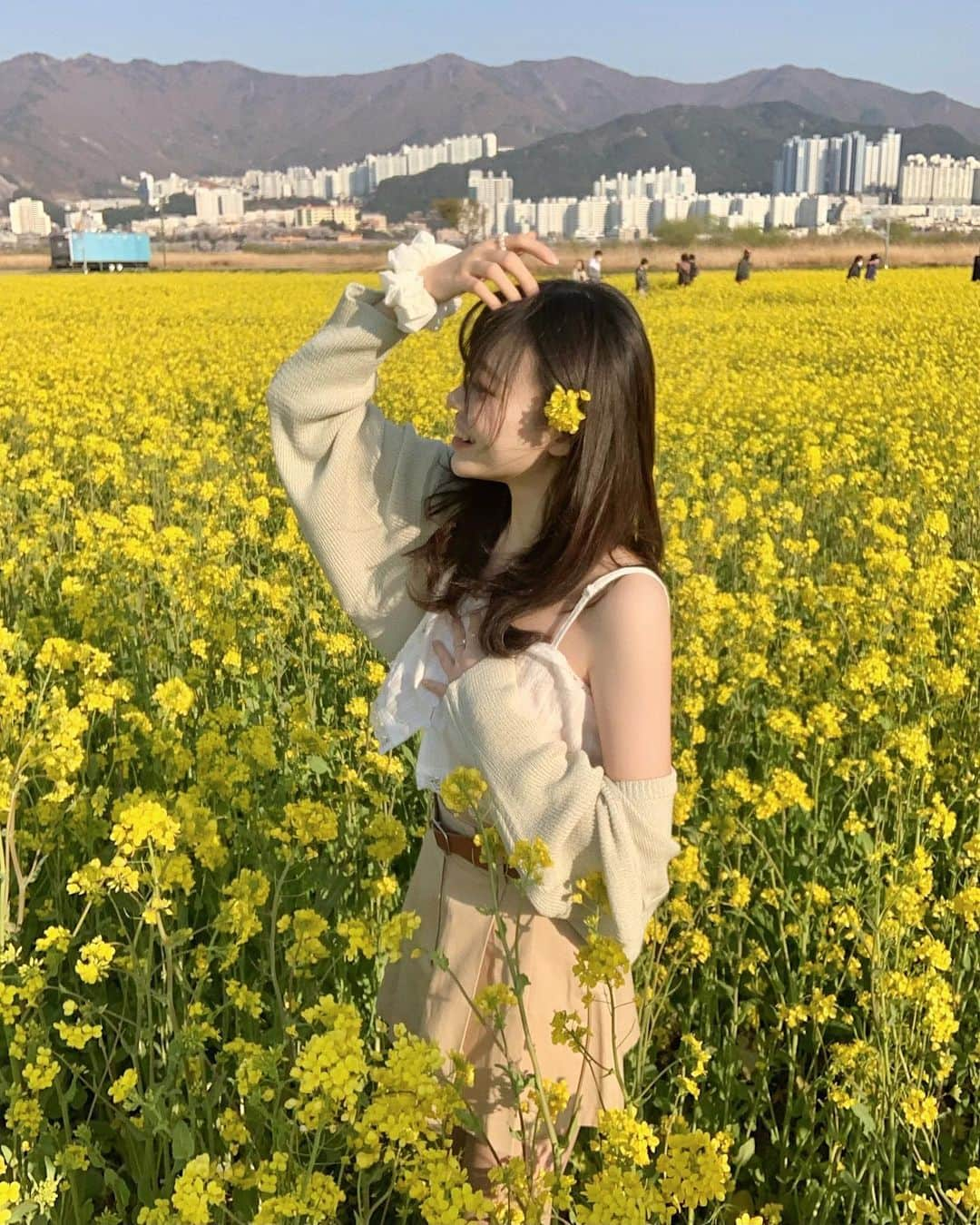 ウィ・ソンヒさんのインスタグラム写真 - (ウィ・ソンヒInstagram)「유채꽃 💛🌼💛」4月8日 18時48分 - _seong_hee