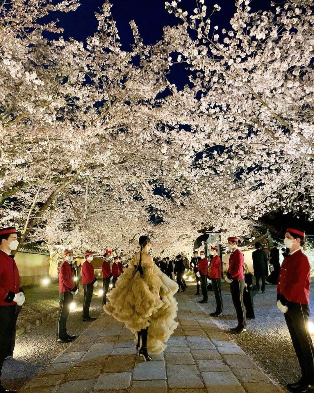 秋元梢さんのインスタグラム写真 - (秋元梢Instagram)「昨夜は @cartier さんに招待していただき、京都の醍醐寺へ💃🏻🌸 京セラ美術館とは打って変わって、幻想的な雰囲気🌙 (写真には写ってないけど、Cartierが植樹した桜も咲いていました🌸) このご時世で、中々会えなかった方々と久しぶりに会えて、お話しできて、そして久しぶりに素敵なドレスと素敵なジュエリーを身に付けられて、とても幸せな時間でした🥺🙏🏻🌸💎 (無意識で、桜が満開の京都で、桜みたいにふわふわなドレスを選んでた😘🌸) #Cartier #Cartierkyoto #Cartierhighjewelry #Cartier6S」4月8日 21時54分 - akimoto_kozue