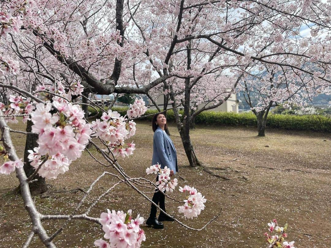 久松郁実さんのインスタグラム写真 - (久松郁実Instagram)「⁡ ⁡ ⁡ 🌸🌸🌸 ⁡ ⁡ 綺麗だった〜🕊 ⁡ ⁡」4月8日 22時21分 - ikumi_hisamatsu