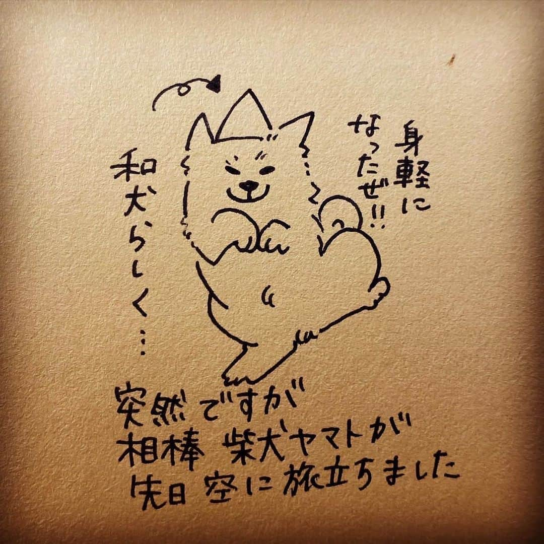 杏さんのインスタグラム写真 - (杏Instagram)「. There is one thing I want to share with you all.  My precious life partner, Yamato, my dog, has passed away.  It had been a month since we found out he was sick.  He always kept trying to be fine till the last moment.  I was thinking about if I should share this sad news with you, but I know some of you might wonder how Yamato is going since he doesn't appear for a while.  He passed away while he was sleeping with me.  I believe it was the best timing for both of us.  I am super grateful for his lifelong time being with us. I believe that our souls will be together forever.  #杏 #イラストグラム #やまと #anne  #illustration #dog」4月9日 12時07分 - annewatanabe_official