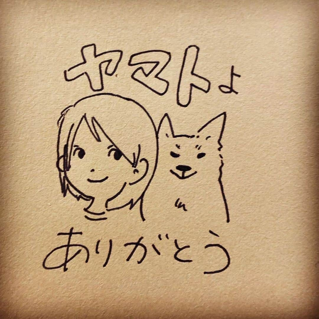 杏さんのインスタグラム写真 - (杏Instagram)「. There is one thing I want to share with you all.  My precious life partner, Yamato, my dog, has passed away.  It had been a month since we found out he was sick.  He always kept trying to be fine till the last moment.  I was thinking about if I should share this sad news with you, but I know some of you might wonder how Yamato is going since he doesn't appear for a while.  He passed away while he was sleeping with me.  I believe it was the best timing for both of us.  I am super grateful for his lifelong time being with us. I believe that our souls will be together forever.  #杏 #イラストグラム #やまと #anne  #illustration #dog」4月9日 12時07分 - annewatanabe_official