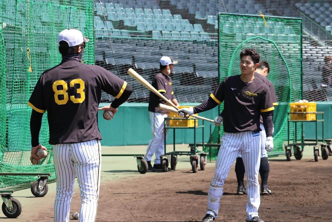 阪神タイガースさんのインスタグラム写真 - (阪神タイガースInstagram)「4月9日広島戦、本日の試合前練習の様子です！ #阪神タイガース  #湯浅京己 選手 #岩貞祐太 選手 #中野拓夢 選手 #髙山俊 選手 #小川一平 選手 #近本光司 選手 #江越大賀 選手 #島田海吏 選手 #イチにカケル！」4月9日 13時02分 - hanshintigers_official