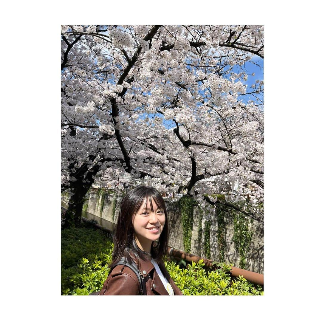 深尾あむさんのインスタグラム写真 - (深尾あむInstagram)「満開や〜🌸」4月9日 13時15分 - amufukaofficial