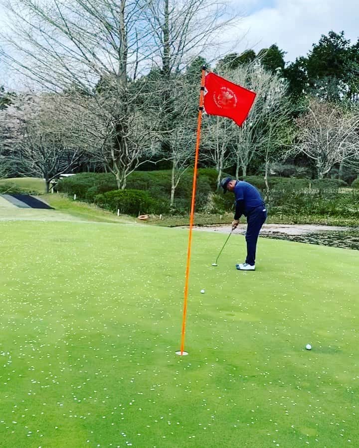 金村義明さんのインスタグラム写真 金村義明instagram 土曜日 週刊ニュースリーダー生放送 千葉カレドニアンへ 9時スタートして マスターズタイガーウッズの歩く姿見て勇気と元気いただき ゴルフ も連チャンなのに 気合入りました フルバックから 久しぶり