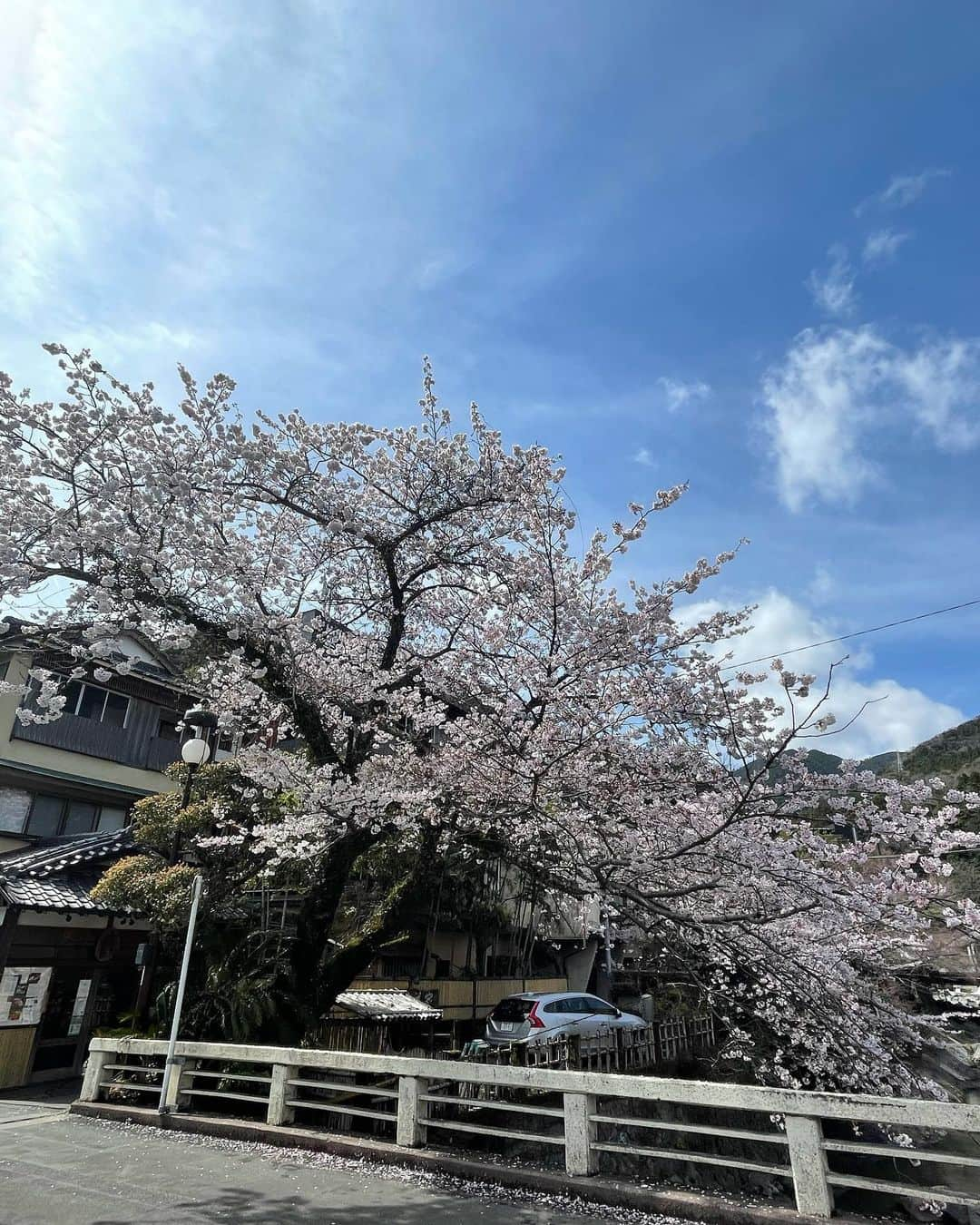 吉村花音さんのインスタグラム写真 - (吉村花音Instagram)「. この間箱根に行ってきたよ🌸 大好きな温泉でリフレッシュできてしあわせ♨️  . #箱根 #箱根旅行 #温泉」4月9日 21時05分 - kanon__729