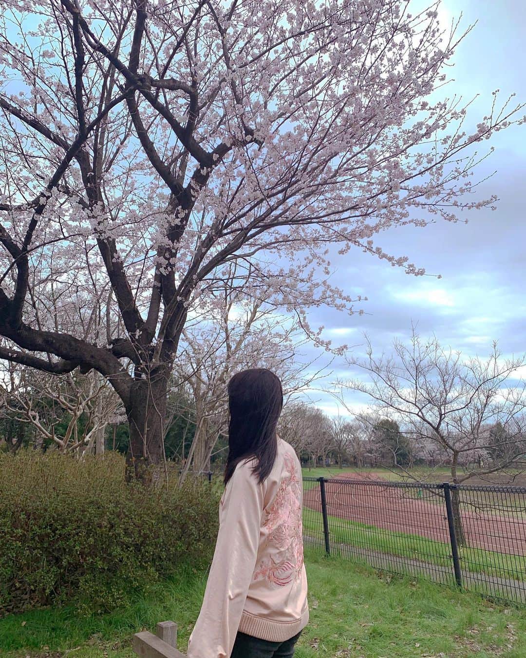 浦まゆさんのインスタグラム写真 - (浦まゆInstagram)「. 今年は、歩きながらいたるところに咲いてる桜を眺めるくらいしかできなかったけど、仕事帰りに唯一ちゃんと見れた桜🌸  私の好きな桜ソングは ケツメイシさんの「さくら」と 堂本剛さんの「ソメイヨシノ」。  ケツメイシさんはなんといっても、MVのえみちぃ(鈴木えみさん、あえて愛称で書きます、伝われこの想い笑)が可愛すぎて子供ながらに衝撃を覚えた曲で、口ずさむ度にMVのえみちぃが思い浮かびます。儚いとはこのことかと思わせてくれる可愛さ。  堂本剛さんの「ソメイヨシノ」は、ソメイヨシノを"きみ"と呼び、喜ばしい桜の季節も切ないものだと教えてくれた曲。 こちらも子供ながらに、桜が咲き誇り、桜が散っていく情景を、色んな面から考えさせてくれるようになって、より一層桜が好きになりました。  皆さんの好きな桜ソングはなんですか？」4月9日 21時55分 - uramayu0908