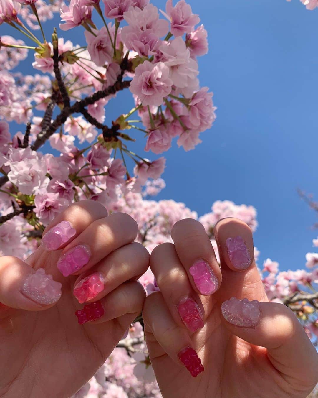 松本明子さんのインスタグラム写真 - (松本明子Instagram)「・ はい見ておくんなまし、このごりごりネイル🧸💕 HARIBOのクマを大好きな🌸ぽくピンクのグラデーションで乗せてもらいました💗 色んな場所の桜の木と共に撮ったけど、どこの桜か分かったあなたは私以上の桜ヲタクです😌🌸 ・ ネイルはいつもの心斎橋のミイネイルでしてもらいました💅 Thank you @menail1201 @menailuraeri  ・ #menail #nail #nails #nailart #nailsalon #gelnails #ig_nails  #ミイネイル #ネイル  #ネイルサロン #ジェルネイル #大阪 #心斎橋 #心斎橋サロン #ネイルアート #haribo #haribogoldbears #sakura #桜 #桜ネイル #グラデーションネイル」4月9日 22時12分 - ata_1026