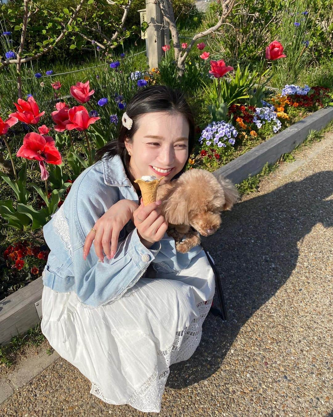 芹那さんのインスタグラム写真 - (芹那Instagram)「🍦🐻🌷  お散歩中に ソフトクリーム食べたくなるくらい ポカポカ🌞🙏🏻✨  明日も お出かけしようねっ☺️  #トイプードル #春コーデ #チューリップ #spring #お花畑 #春服 #眉マスカラ 変えました🤍#春メイク #ノーファンデ 生活💄#ナチュラルメイク #バージンヘア#美容好きな人と繋がりたい」4月10日 0時38分 - serinaofficial