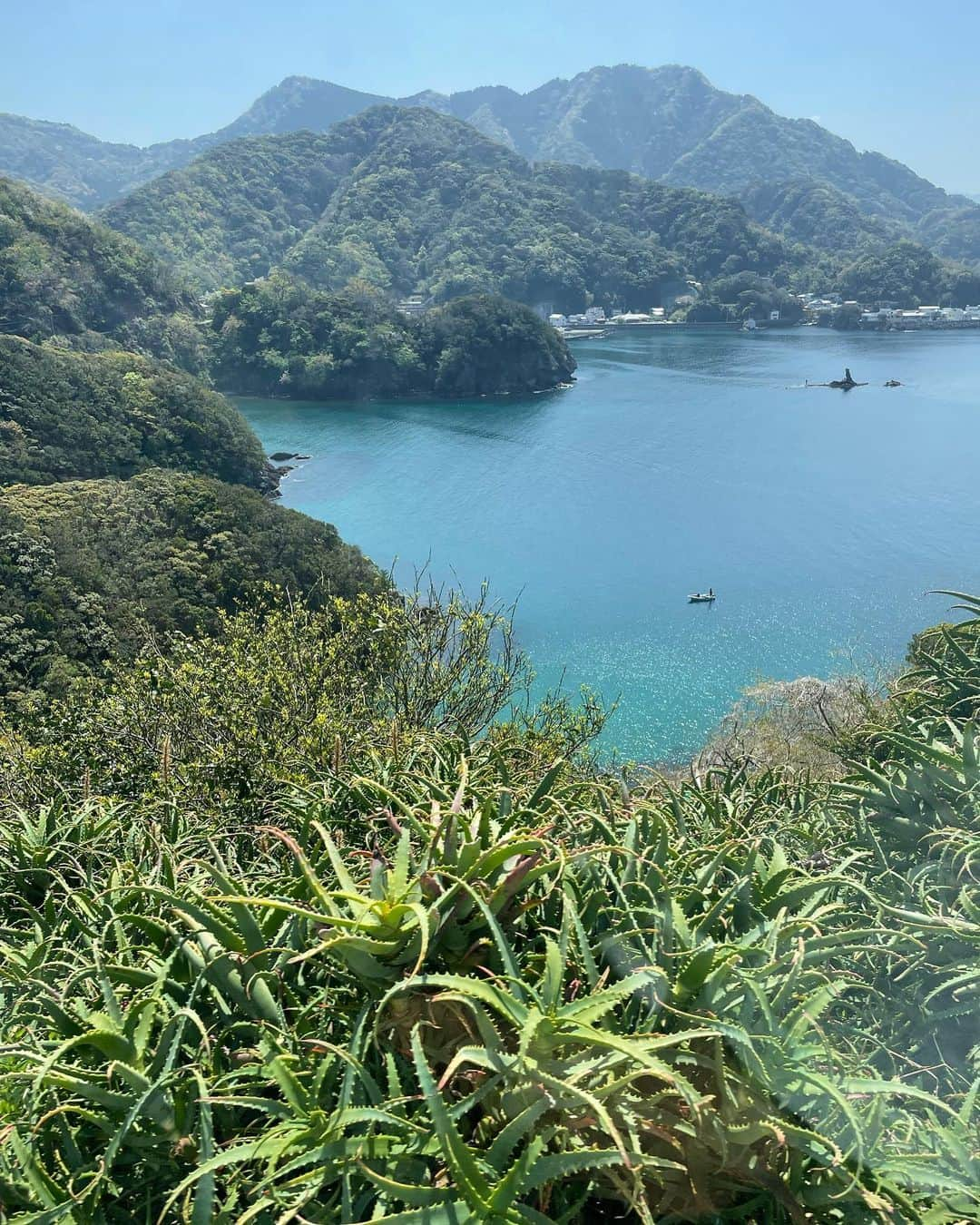 水原希子 さんのインスタグラム写真 - (水原希子 Instagram)「🐚🌞🌱🐾🧚‍♀️🔥💫💧」4月10日 12時48分 - i_am_kiko