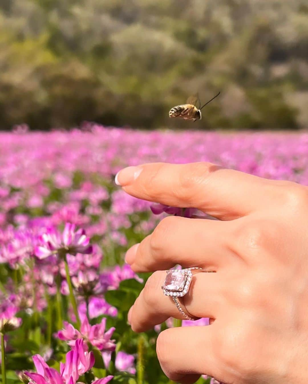 ヨンアさんのインスタグラム写真 - (ヨンアInstagram)「愛してるよ🌸 #kochi #japan #spring」4月10日 16時39分 - youn1029