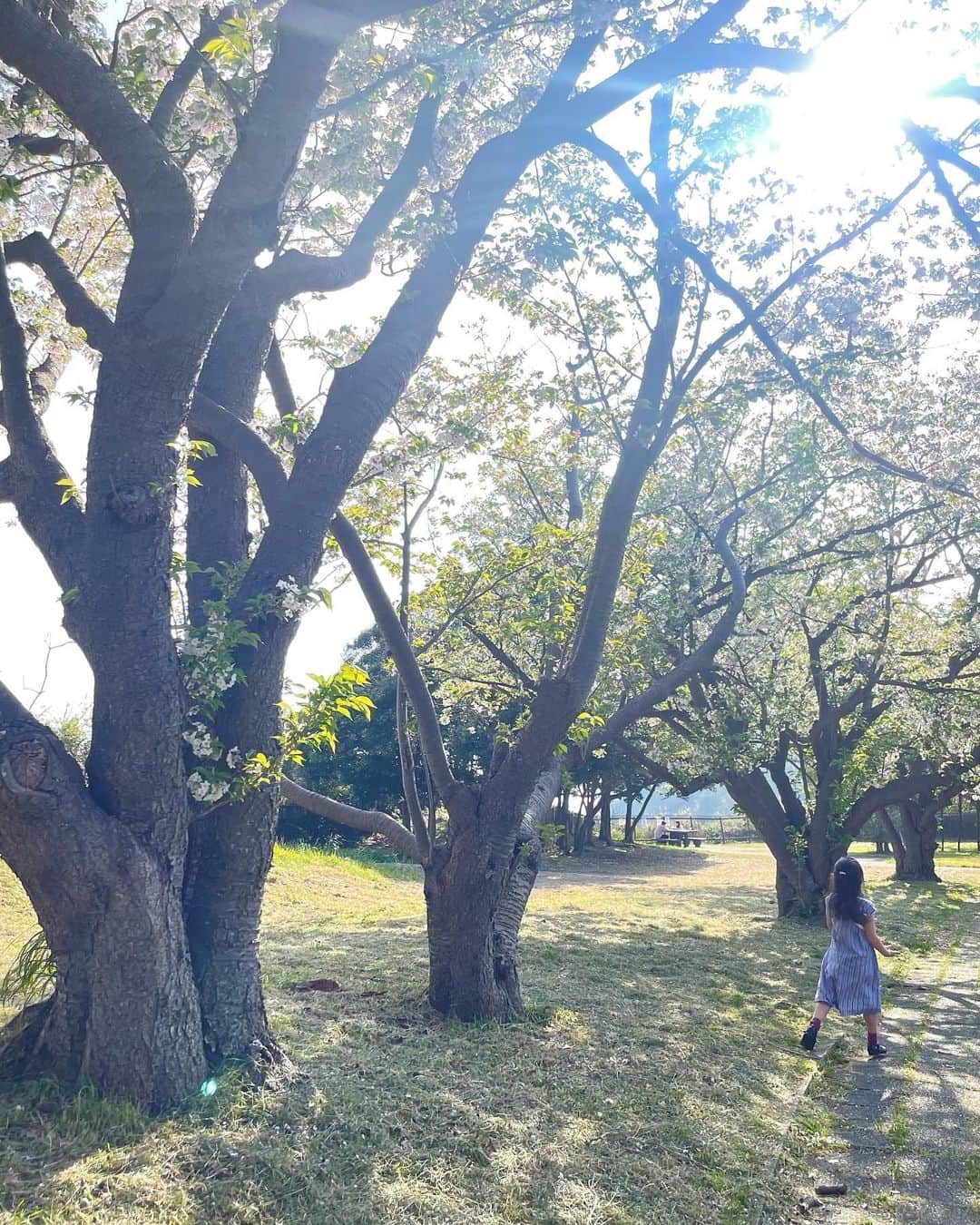 大和田美帆さんのインスタグラム写真 - (大和田美帆Instagram)「. 春のお散歩！  新緑！  花々！  風！  太陽！  ウグイスの鳴声！  優しい人たち！  可愛いこどもたち！  癒しをありがとう！」4月10日 19時24分 - miho_ohwada