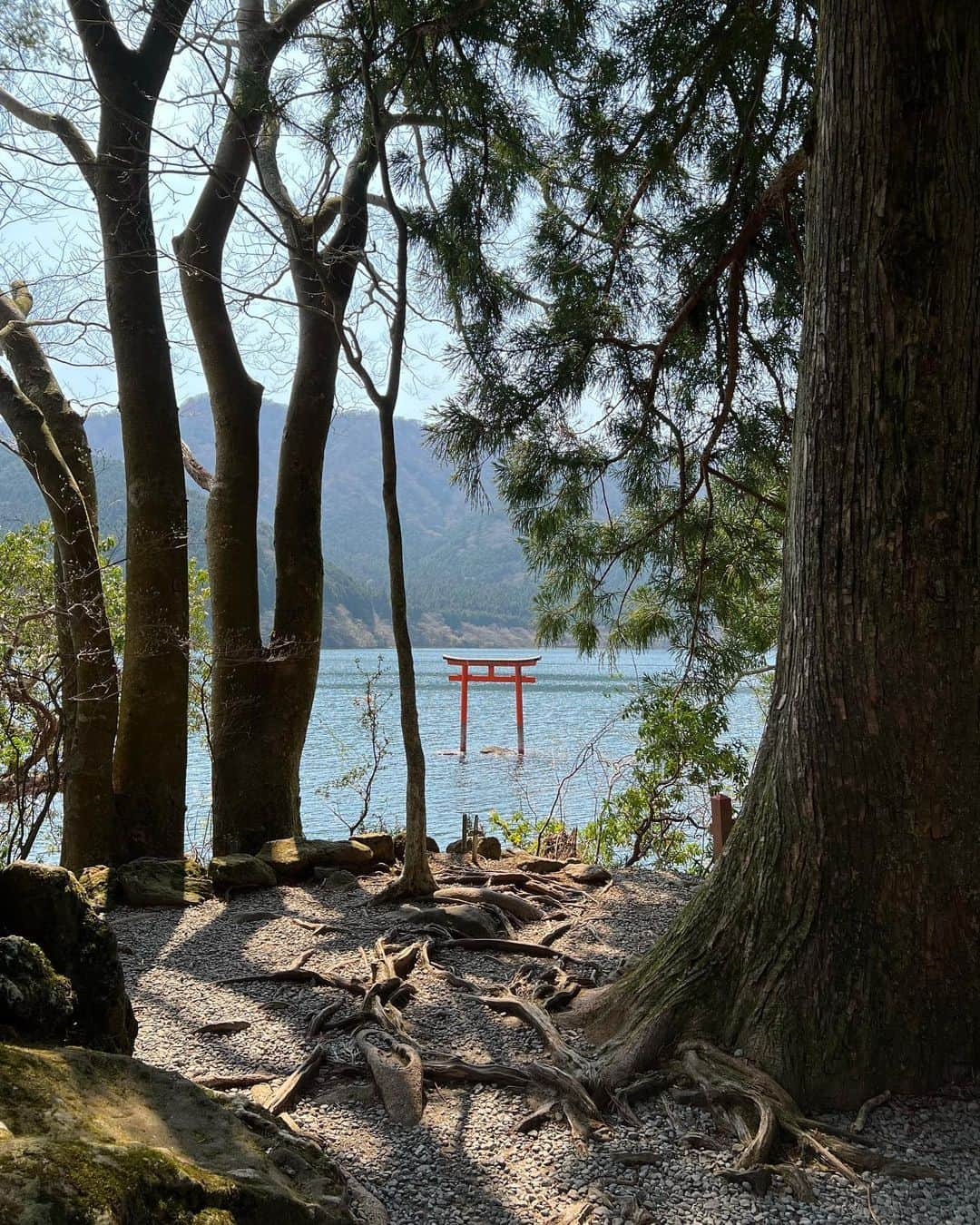 藤井悠さんのインスタグラム写真 - (藤井悠Instagram)「そして、九頭竜神社 本宮へ⛩  近くまで車で行けないので、レンタサイクル😆 電動で楽チンでした🚲💨  温泉入って、友栄で鰻重も食べて、大満足でした✨  #箱根 #hakone #九頭竜神社本宮 #レンタサイクル #電動自転車 #芦ノ湖 #三社参り #友栄 #鰻重 #THE観光」4月10日 20時41分 - yufujii0211