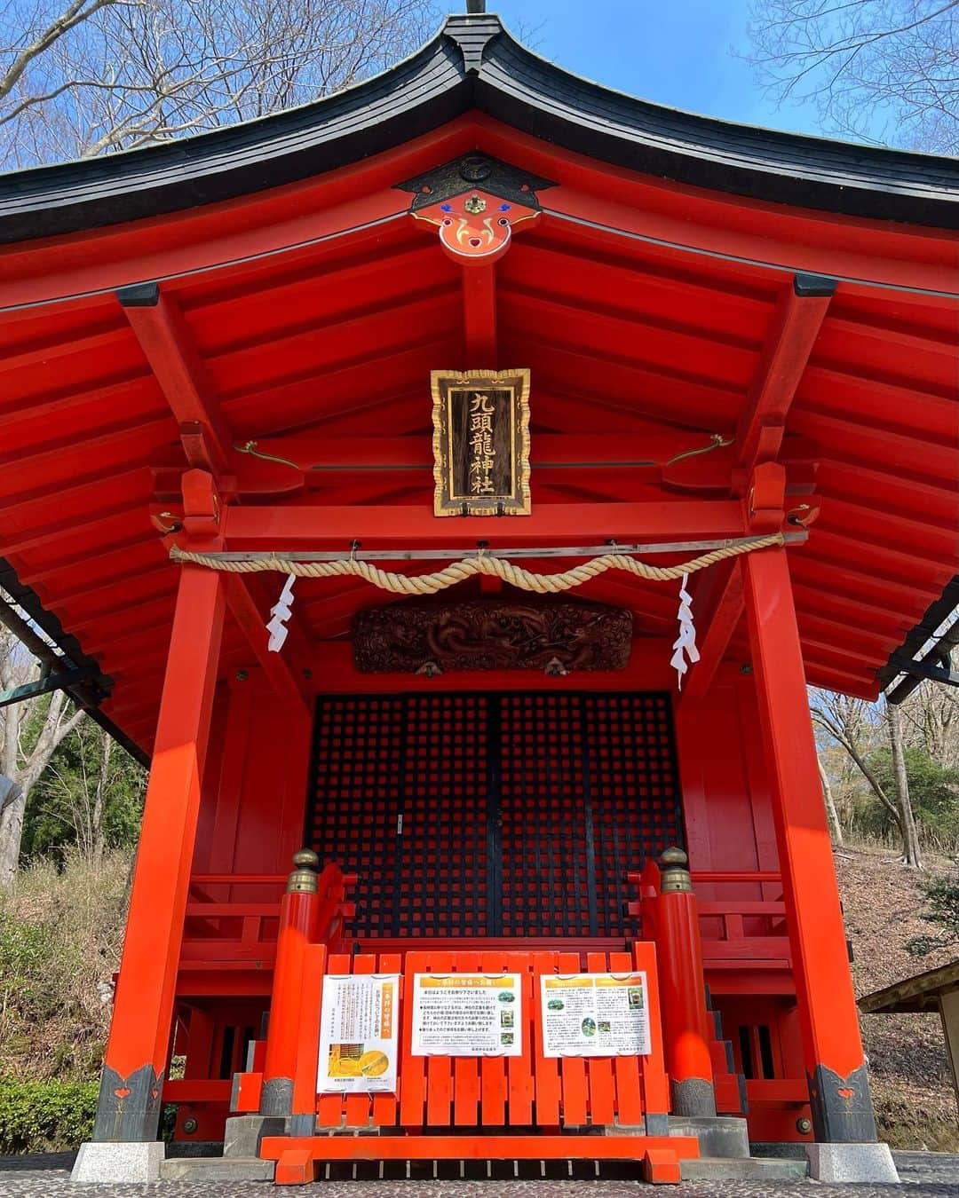 藤井悠さんのインスタグラム写真 - (藤井悠Instagram)「そして、九頭竜神社 本宮へ⛩  近くまで車で行けないので、レンタサイクル😆 電動で楽チンでした🚲💨  温泉入って、友栄で鰻重も食べて、大満足でした✨  #箱根 #hakone #九頭竜神社本宮 #レンタサイクル #電動自転車 #芦ノ湖 #三社参り #友栄 #鰻重 #THE観光」4月10日 20時41分 - yufujii0211