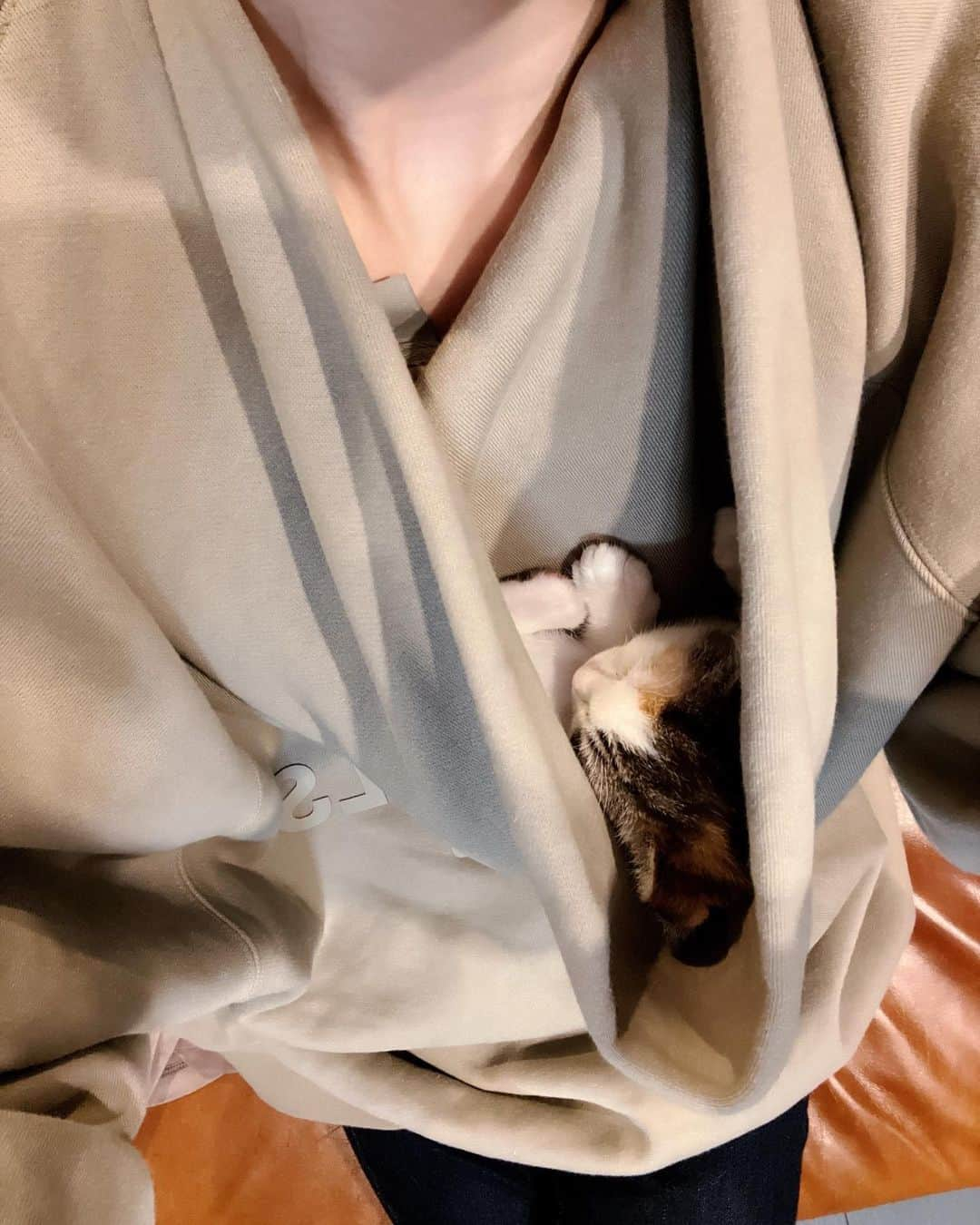 後藤真希さんのインスタグラム写真 - (後藤真希Instagram)「新しい家族を迎えました❤️ ちくわチャン🐱です〜！  パーカーのフードの中の居心地が良いのか、うとうと…♡」4月11日 20時01分 - goto_maki923