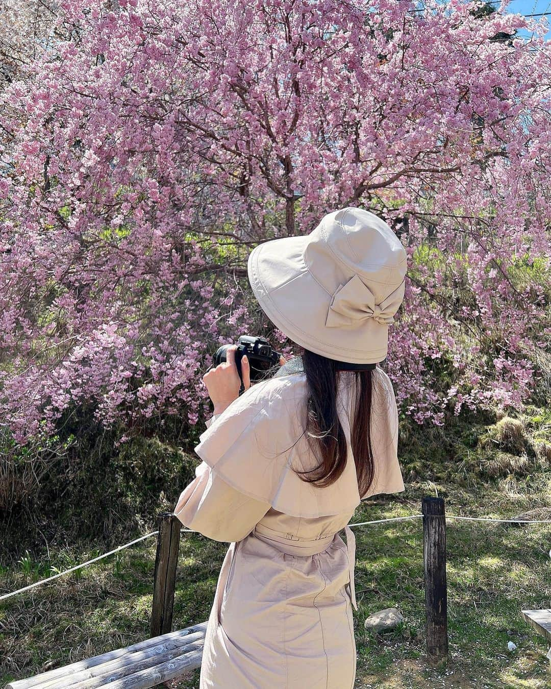 得あゆさんのインスタグラム写真 - (得あゆInstagram)「枝垂れ桜もあった🌸💓 お花見コーデ🌸  このワンピ可愛すぎるううう🌸💓 @rienda_official シルエットがすごく素敵だよー💓 春も秋も着回せそう💓  ・ ・ ・ ・ ・ ・ ・ ・ ・ ・ ・ ・ #お花見#花見#トレンチ#お花見コーデ#お花見スポット#吉野山#吉野の桜#奈良桜#奈良#子育てママ#ママコーデ#ママファッション#ママライフ#ママ友#桜#ブラウス#大人可愛い#大人カジュアル#スニーカーコーデ#ベージュコーデ#スニーカー#お花見デート #カメラ女子#rienda#riendastyle#cherryblossom#cherryblossoms#uvケア#帽子#枝垂れ桜」4月11日 20時46分 - tokuayu819