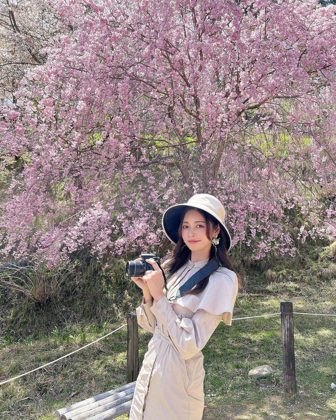 得あゆさんのインスタグラム写真 - (得あゆInstagram)「枝垂れ桜もあった🌸💓 お花見コーデ🌸  このワンピ可愛すぎるううう🌸💓 @rienda_official シルエットがすごく素敵だよー💓 春も秋も着回せそう💓  ・ ・ ・ ・ ・ ・ ・ ・ ・ ・ ・ ・ #お花見#花見#トレンチ#お花見コーデ#お花見スポット#吉野山#吉野の桜#奈良桜#奈良#子育てママ#ママコーデ#ママファッション#ママライフ#ママ友#桜#ブラウス#大人可愛い#大人カジュアル#スニーカーコーデ#ベージュコーデ#スニーカー#お花見デート #カメラ女子#rienda#riendastyle#cherryblossom#cherryblossoms#uvケア#帽子#枝垂れ桜」4月11日 20時46分 - tokuayu819