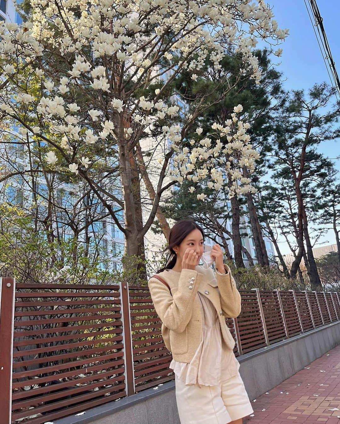 ヒョミン さんのインスタグラム写真 - (ヒョミン Instagram)「가방 문 닫고 다니세요 하고 엄마한테 혼날 것 같은 사진이지만 목련이 너무 예뻐서.. . 🦢👀☁️🌬🤍」4月11日 22時38分 - hyominnn