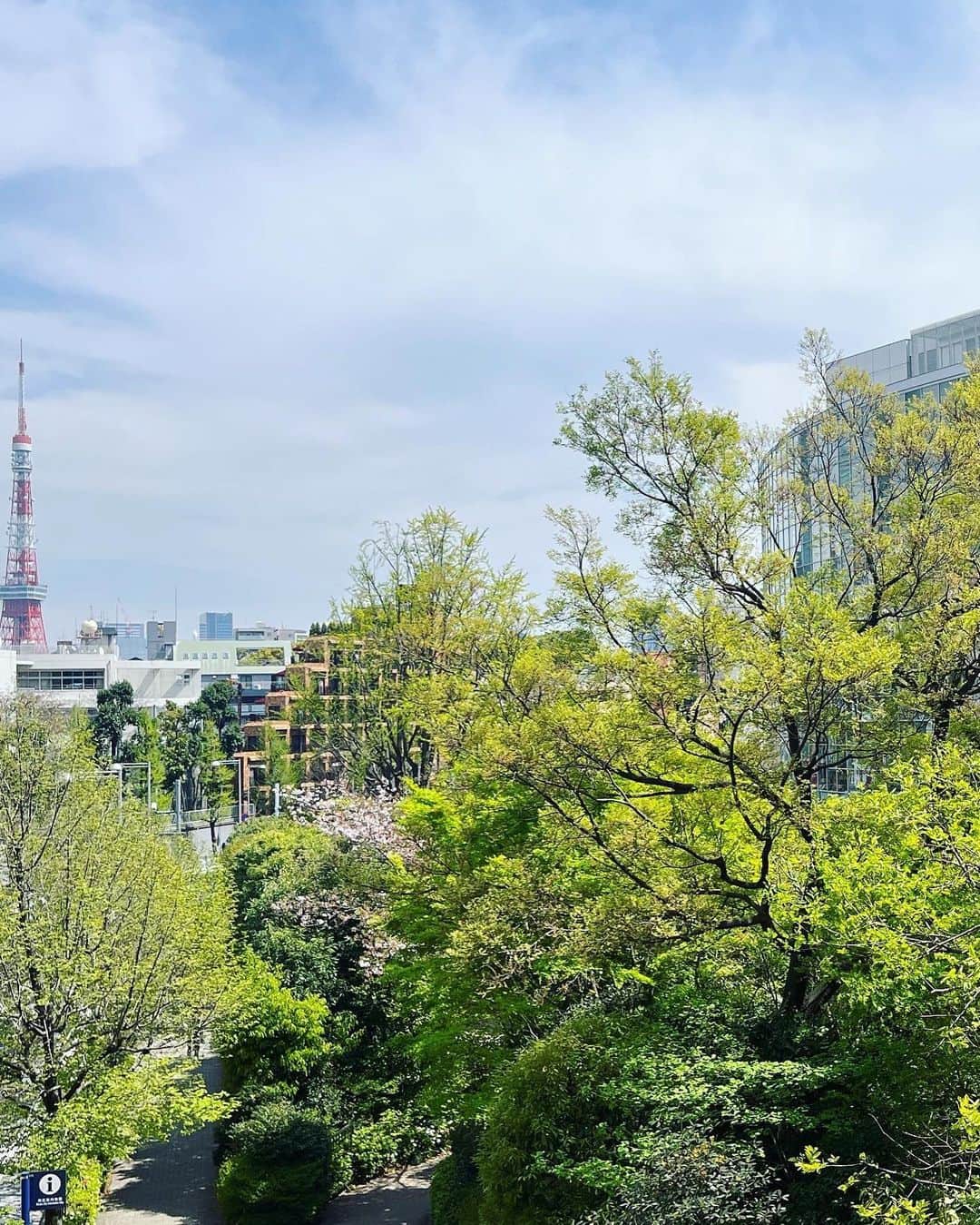 下村彩里さんのインスタグラム写真 - (下村彩里Instagram)「一気に暖かく... いえ暑くなりましたね...  早くも初夏の装いです。👗  昨日は東京は最高気温26.8℃☀️ 先週の日曜日は10.1℃だったので... その差は15℃以上。  皆さま、 体調管理にくれぐれも気をつけてください☀️  #都内は #新緑 の季節へ🍃 #目に入る緑が #とても優しく #癒されました😃  #下村彩里#テレビ朝日#テレビ朝日アナウンサー#ワンピース#緑#母#撮影」4月11日 23時58分 - sairi.shimomura_ex