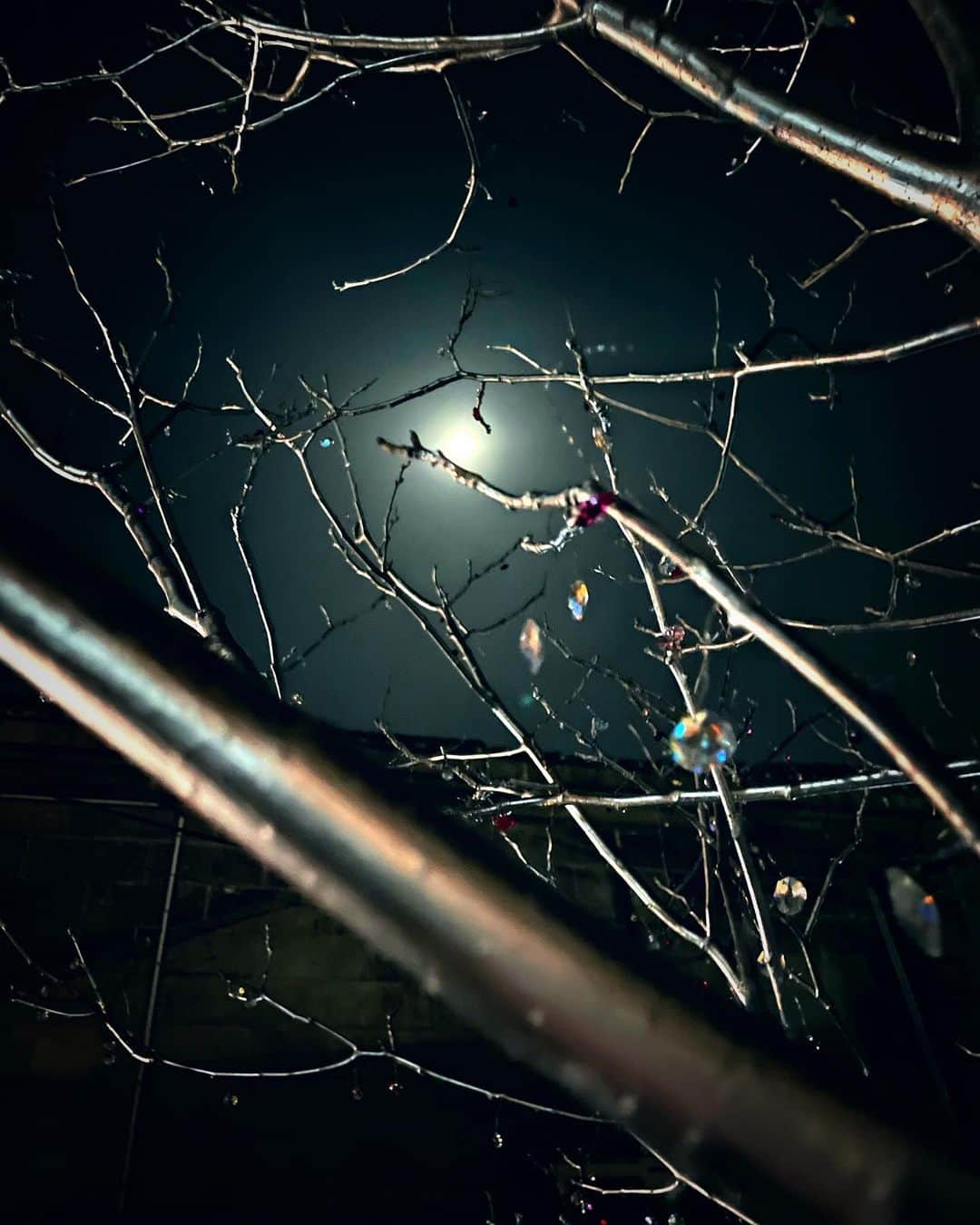 倉地美晴さんのインスタグラム写真 - (倉地美晴Instagram)「・ 誰もいない真っ暗な路地裏で 散りばめられたガラスにキラキラ月明かりが反射して、とても幻想的だった。  #ガラスツリー #小樽 #小樽運河 #小樽観光 #nightphotography」4月12日 7時36分 - miharu_kurachi