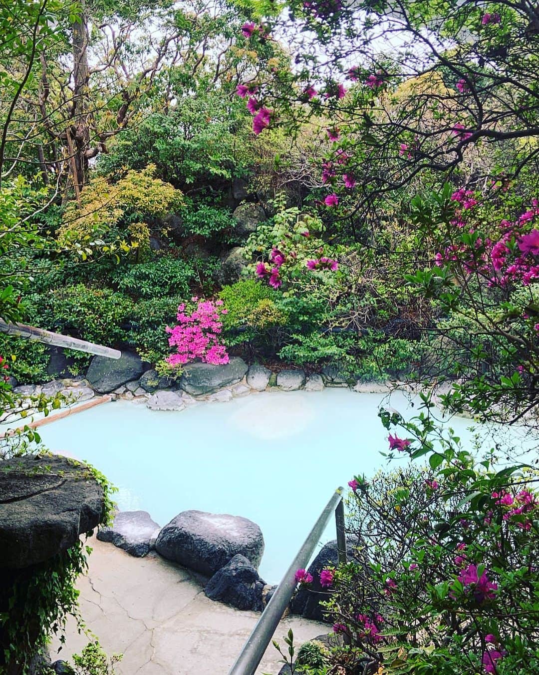 志摩有子さんのインスタグラム写真 - (志摩有子Instagram)「おはようございます。このミルキーブルーのお湯がどれだけ恋しかったことか。蕩けるような柔らかなお湯で手足を伸ばしてふやける幸せ。  #定宿　#常宿 #明礬温泉　#朝風呂 #ミルキーブルーの温泉  #大分備忘録 @okamotoya_1875」4月12日 9時10分 - ariko418