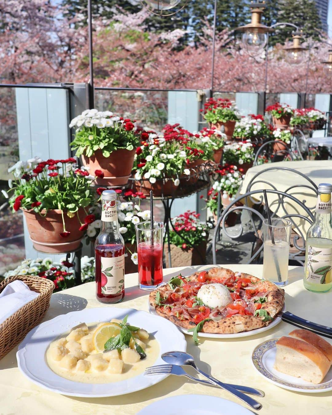 小沼瑞季さんのインスタグラム写真 - (小沼瑞季Instagram)「𝒩𝒜𝒫𝒰𝐿𝐸🇮🇹🍕🌸  大好きなナプレの六本木店🏠💓 テラス席からはこんなふうに桜が見えます🌸  桜の季節ぎりぎり行けてよかったぁー🌸🌸🌸  今まで行ったイタリアンの中でも ナプレのピザが1番2番争うくらい好き❕  【Napule／ナプレ六本木ミッドタウン店】 📍東京都港区赤坂9-7-4  東京ミッドタウンガーデンテラス1F Lunch 11:00〜14:00(L.O.) Dinner 17:30〜22:00(L.O.)  #napule #tokyocafe #ナプレ #ナプレ六本木 #ナプレ六本木ミッドタウン #roppongicafe #roppongi #roppongimidtown #六本木ランチ #東京カフェ #東京グルメ #お花見 #お花見スポット #桜 #桜並木 #東京ランチ #イタリアン #イタリアンランチ #ピザランチ #テラス席 #みいきのカフェめぐり☕️🍰」4月12日 22時12分 - mizukikonuma